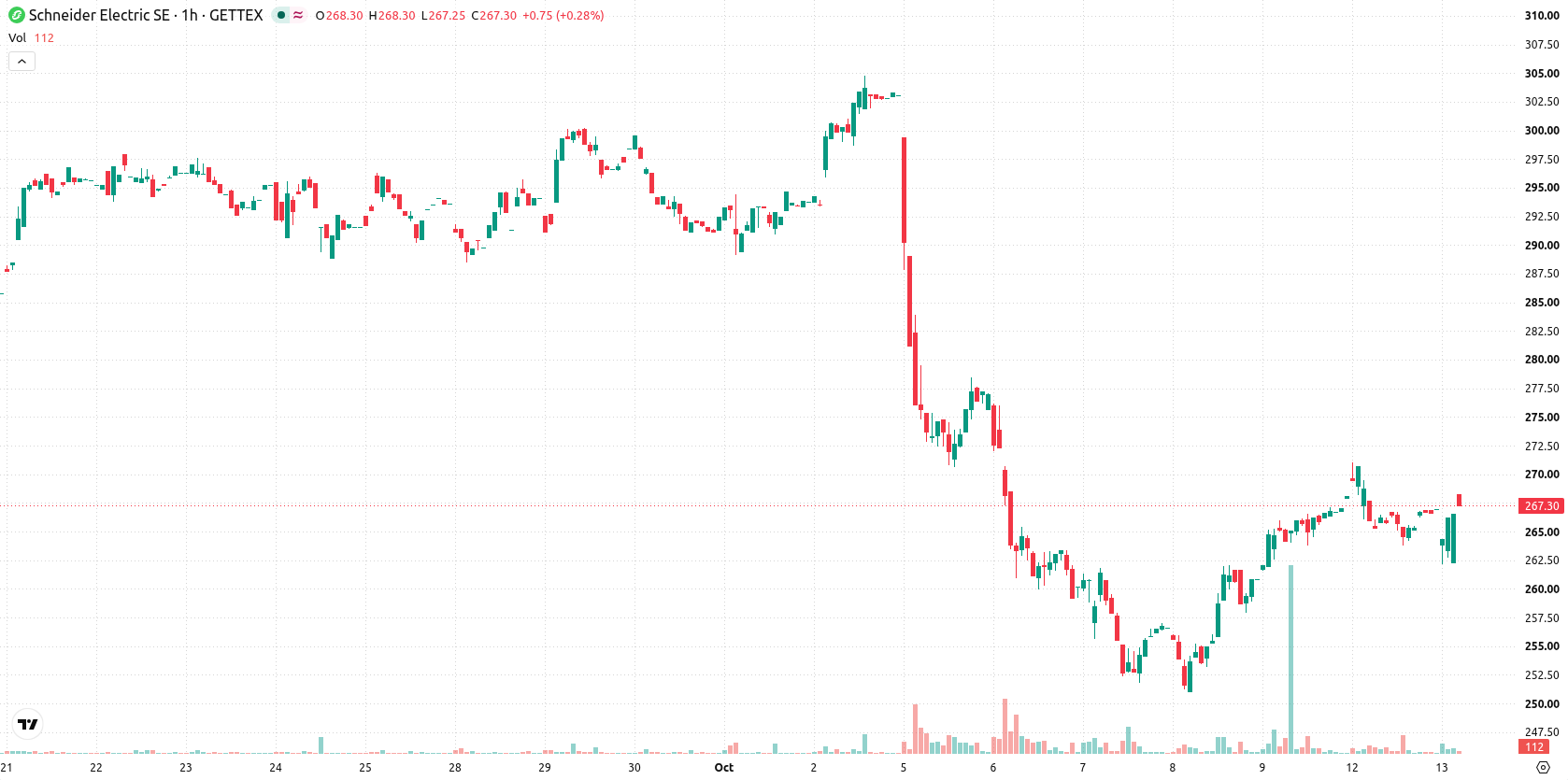 Schneider Electric SE asset chart