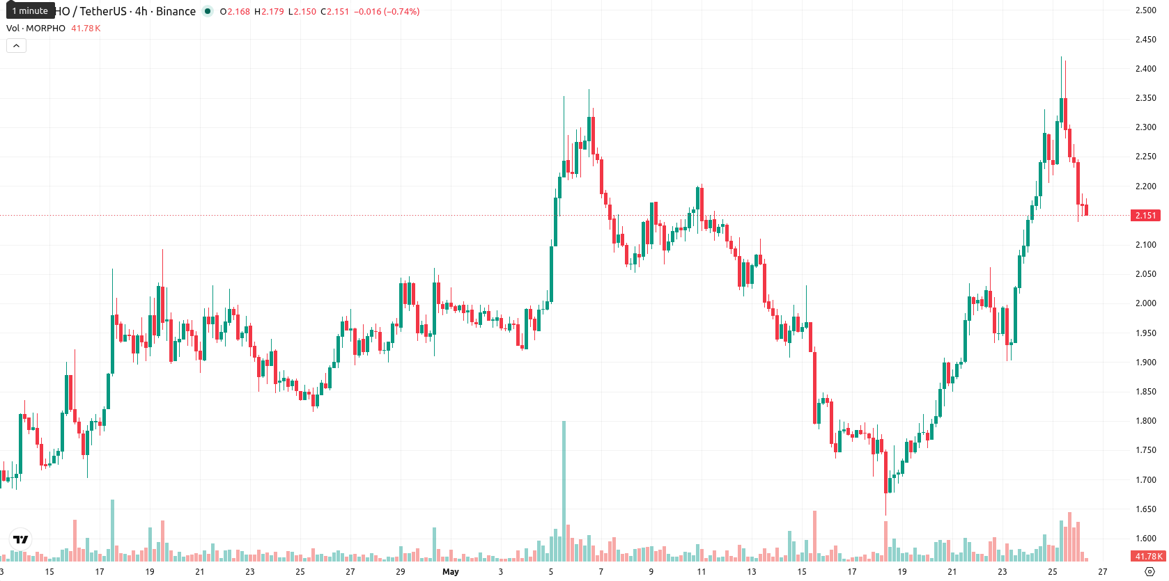 Morpho asset chart