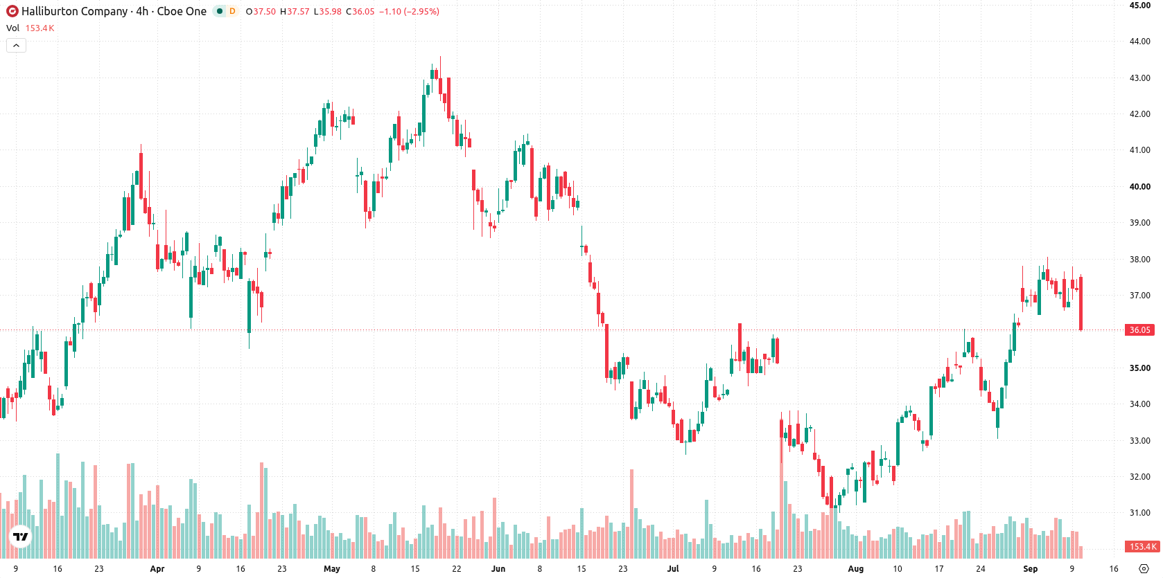Halliburton Company asset chart