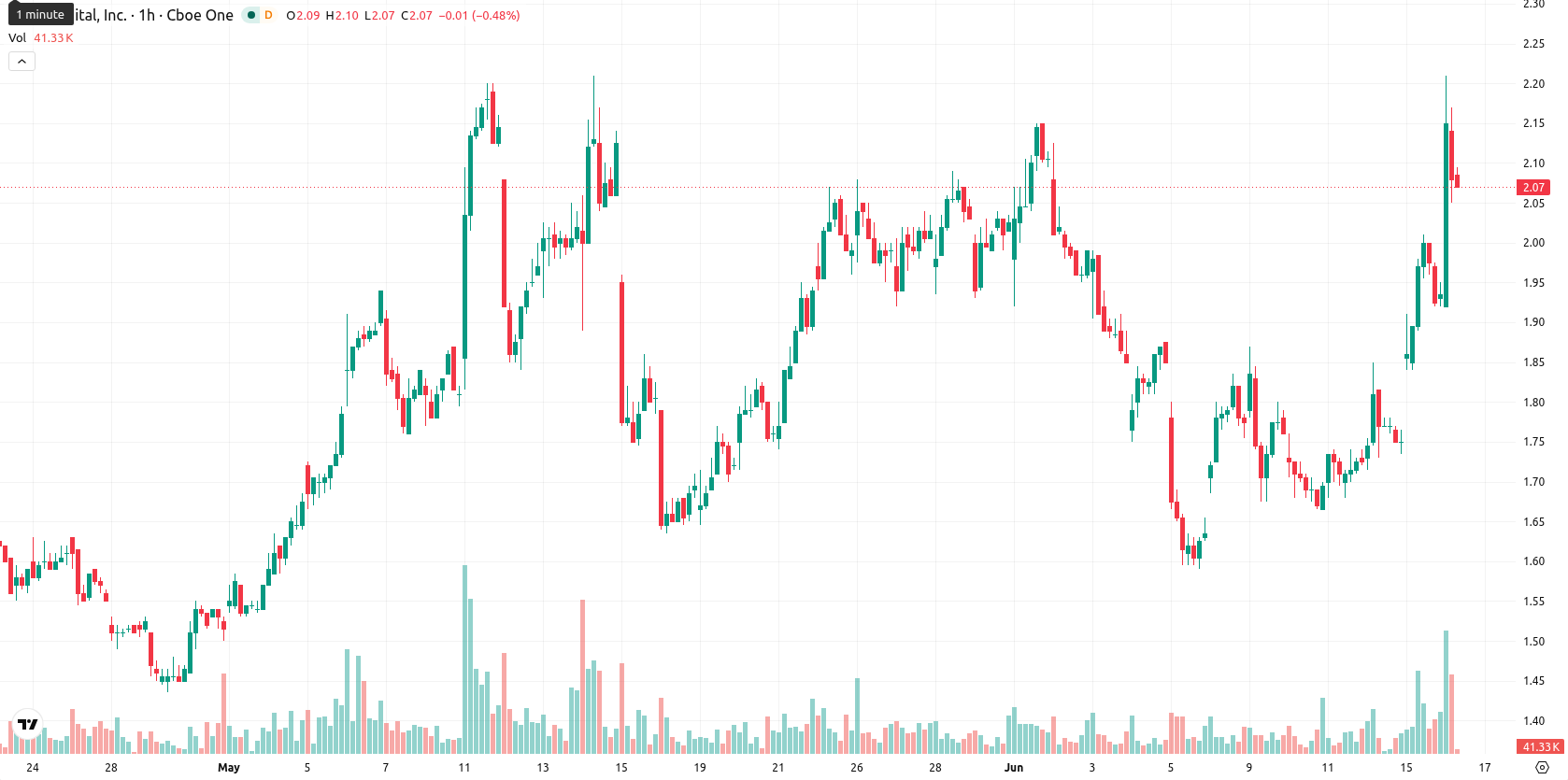 Bit Digital Inc. asset chart