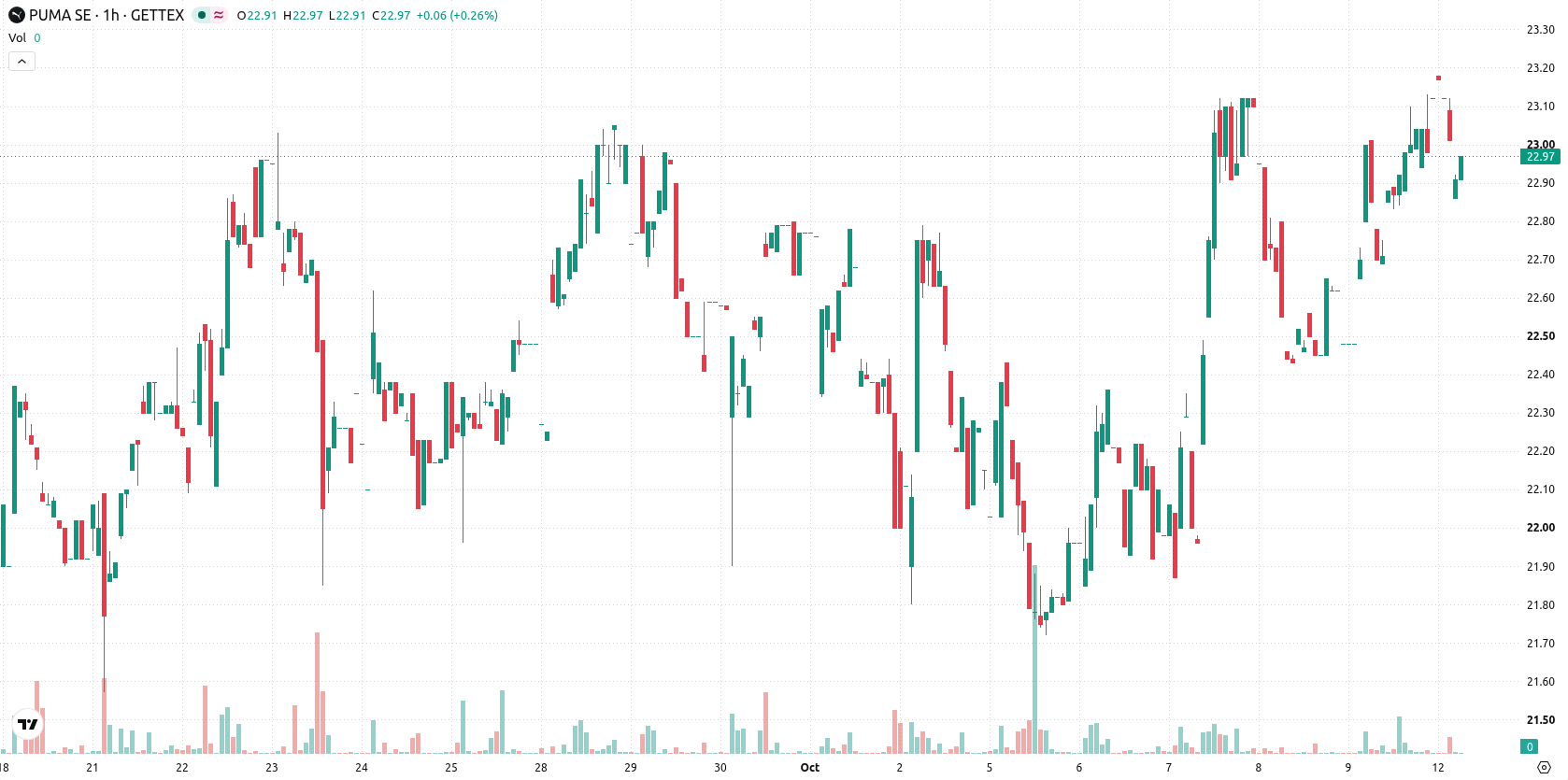 Puma SE asset chart