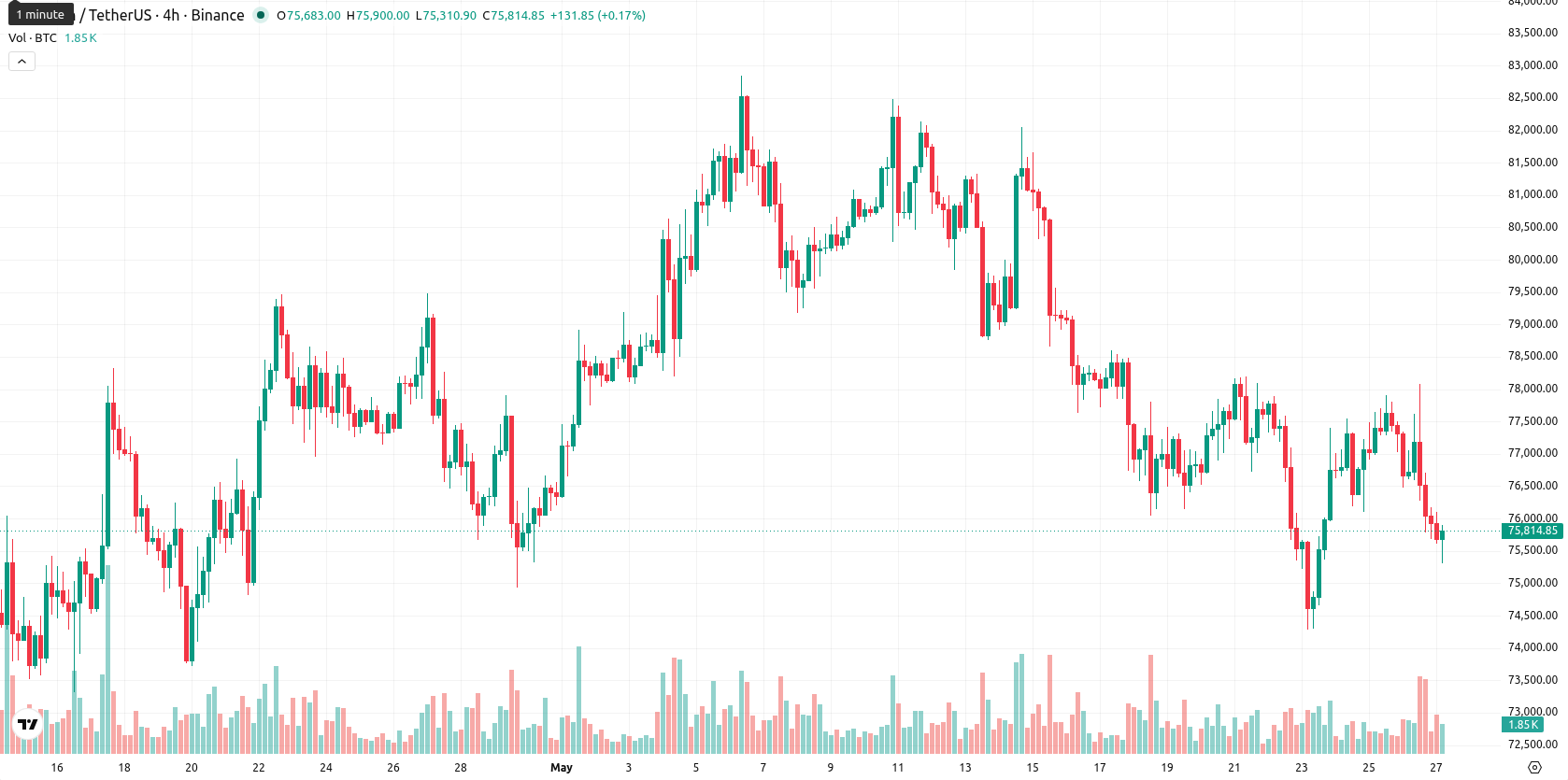Bitcoin asset chart