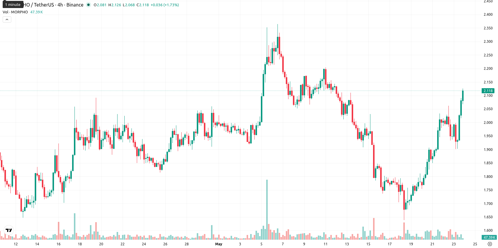 Morpho asset chart