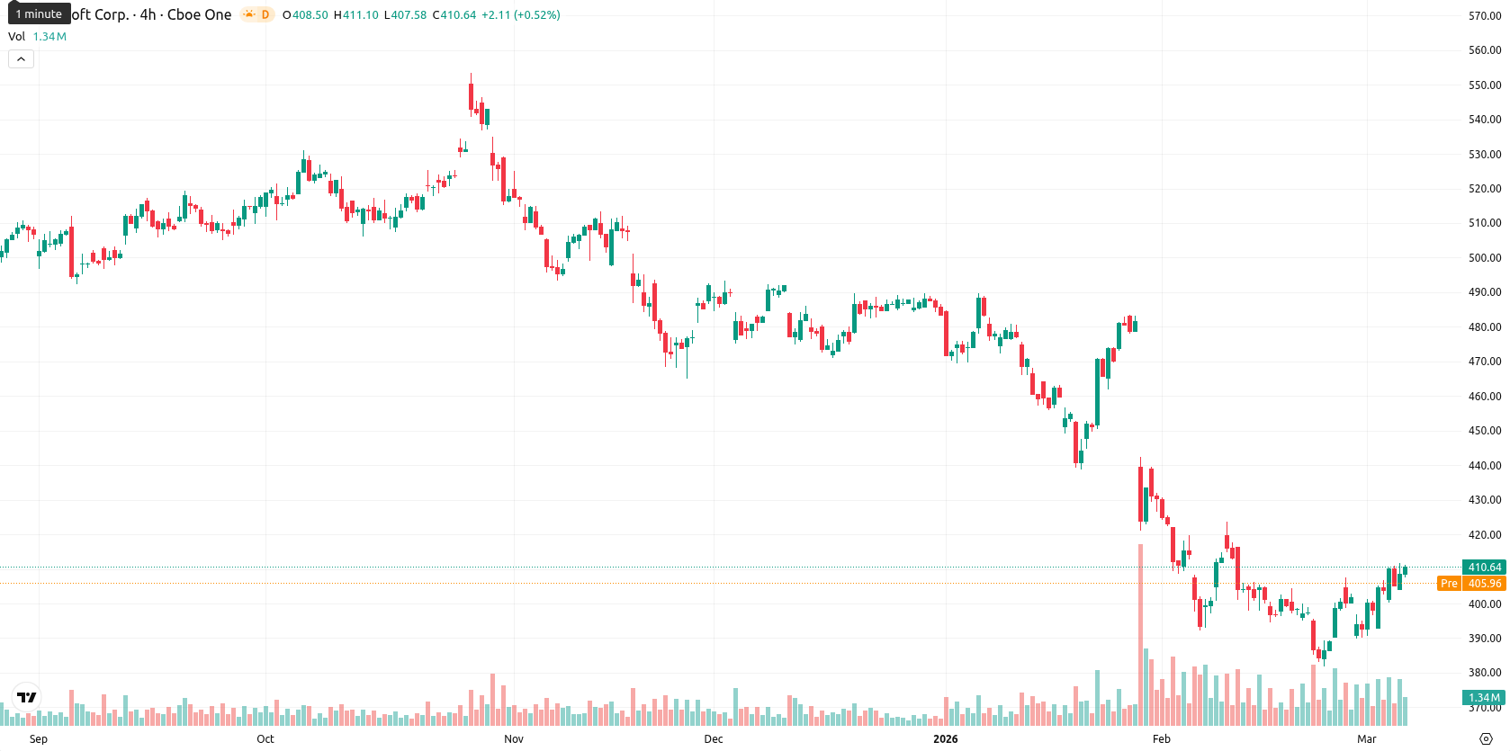 Microsoft Corp asset chart