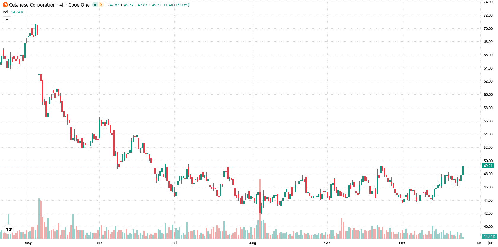 Celanese Corporation asset chart