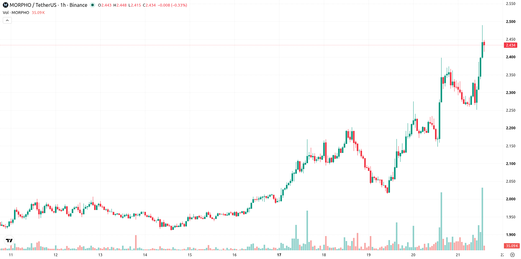 Morpho asset chart