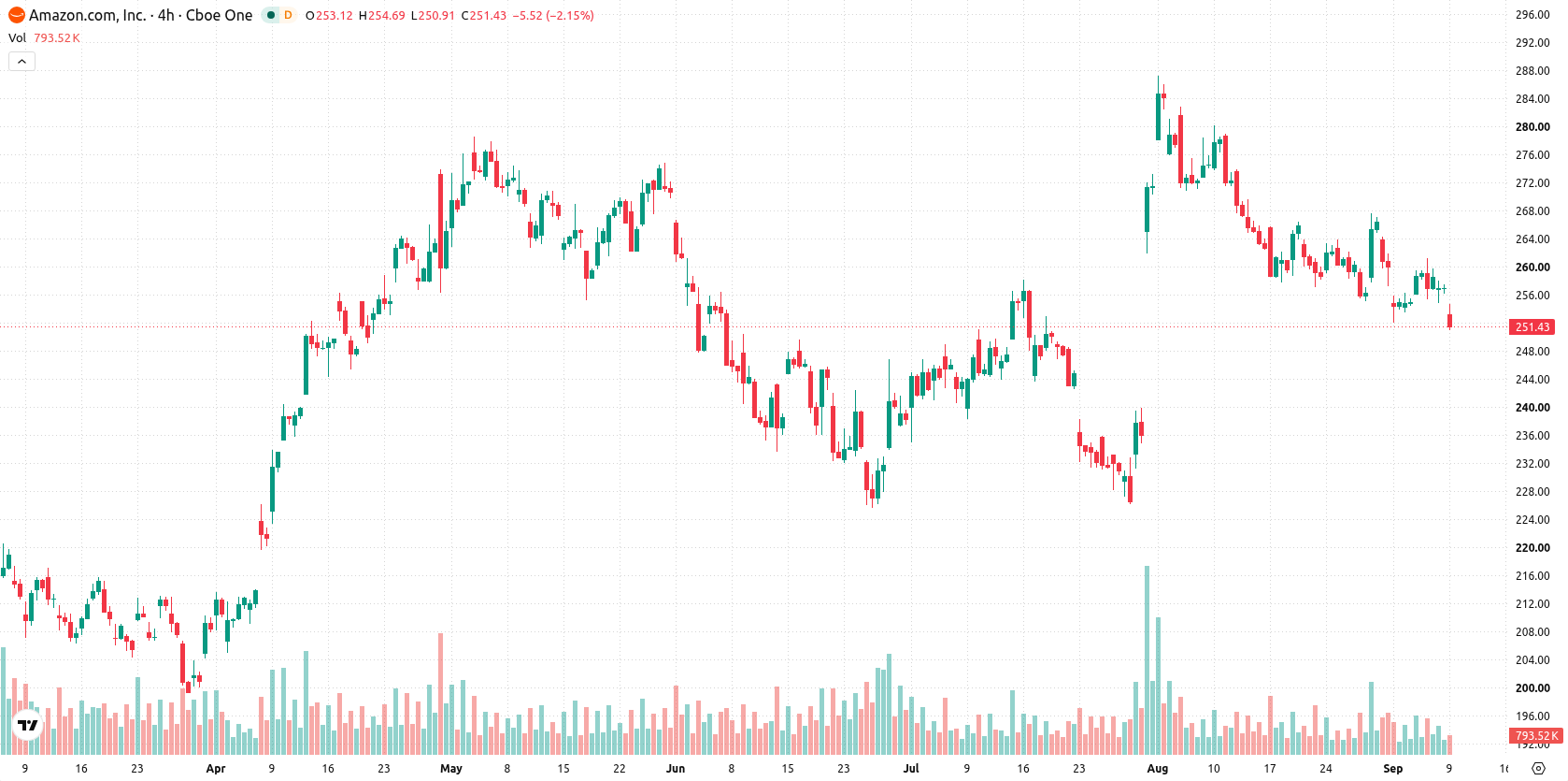 Amazon.com Inc asset chart