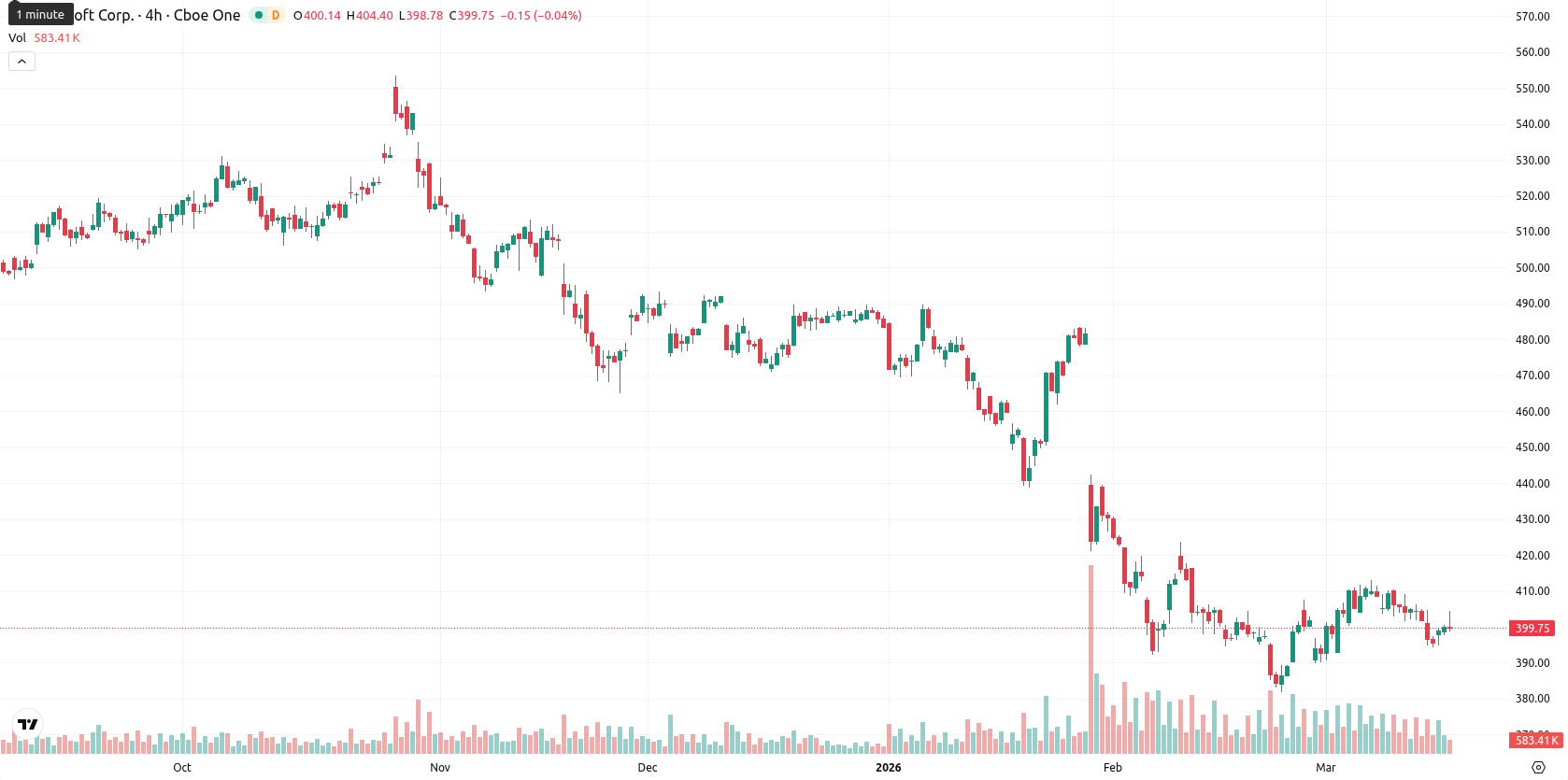 Microsoft Corp asset chart