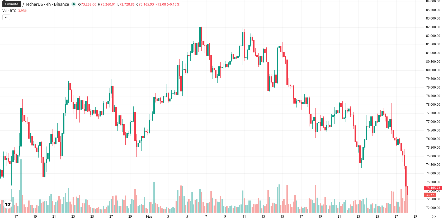 Bitcoin asset chart