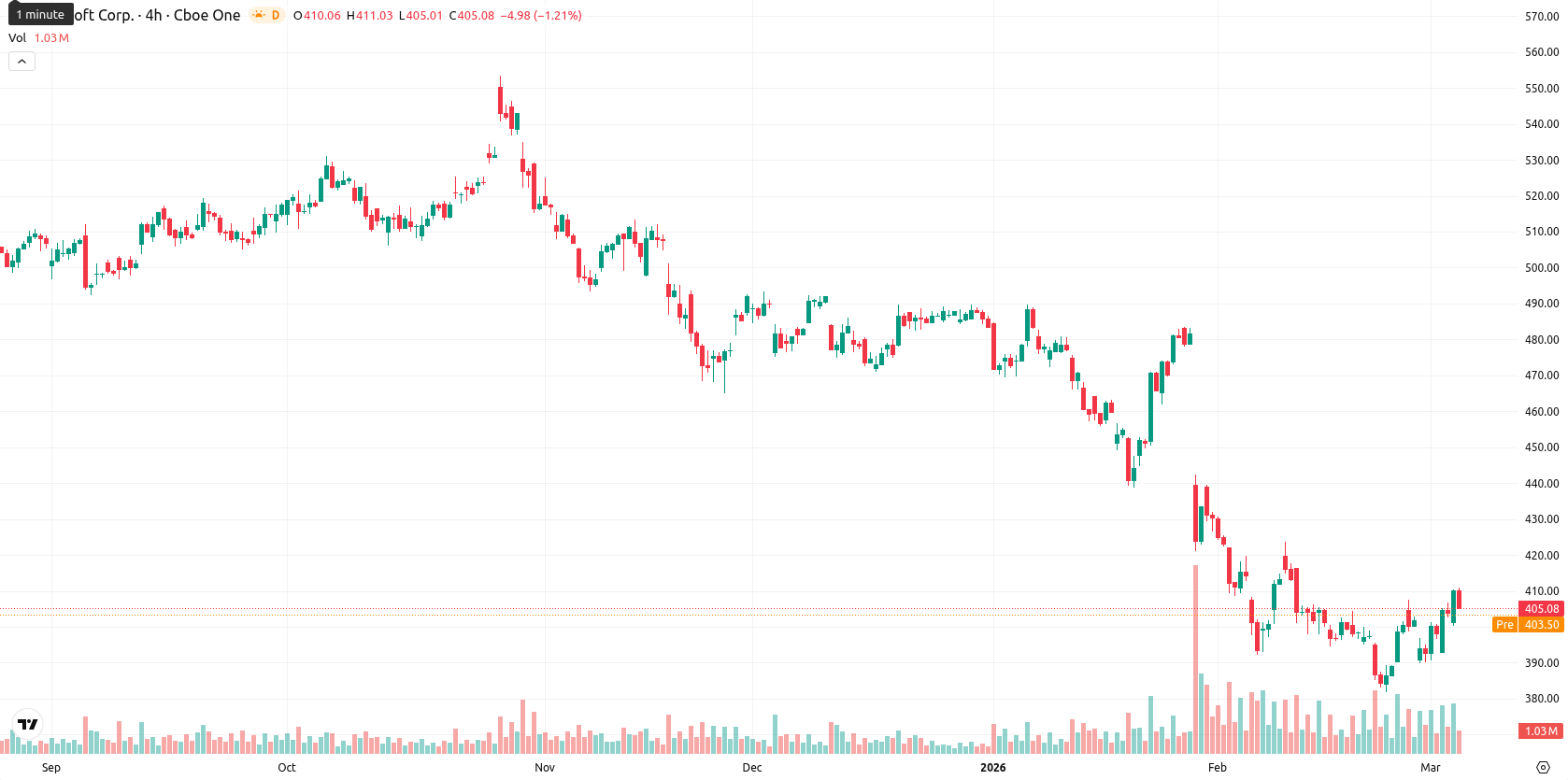 Microsoft Corp asset chart