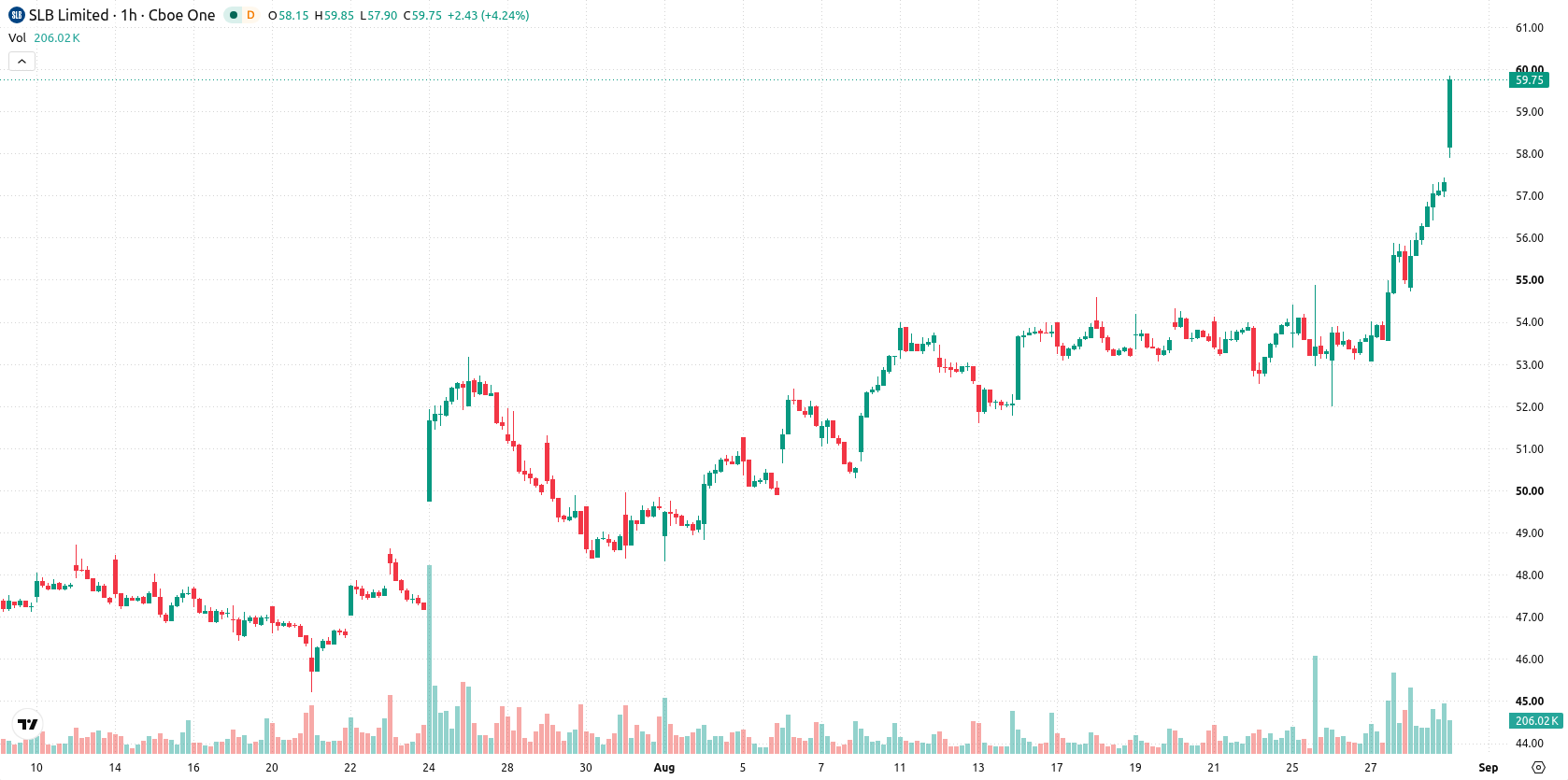 Schlumberger asset chart