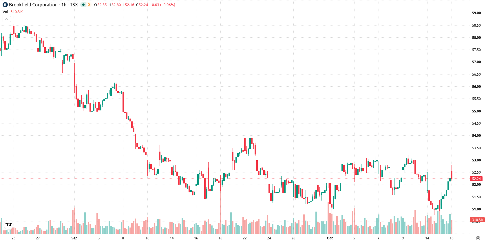 Brookfield Corporation asset chart