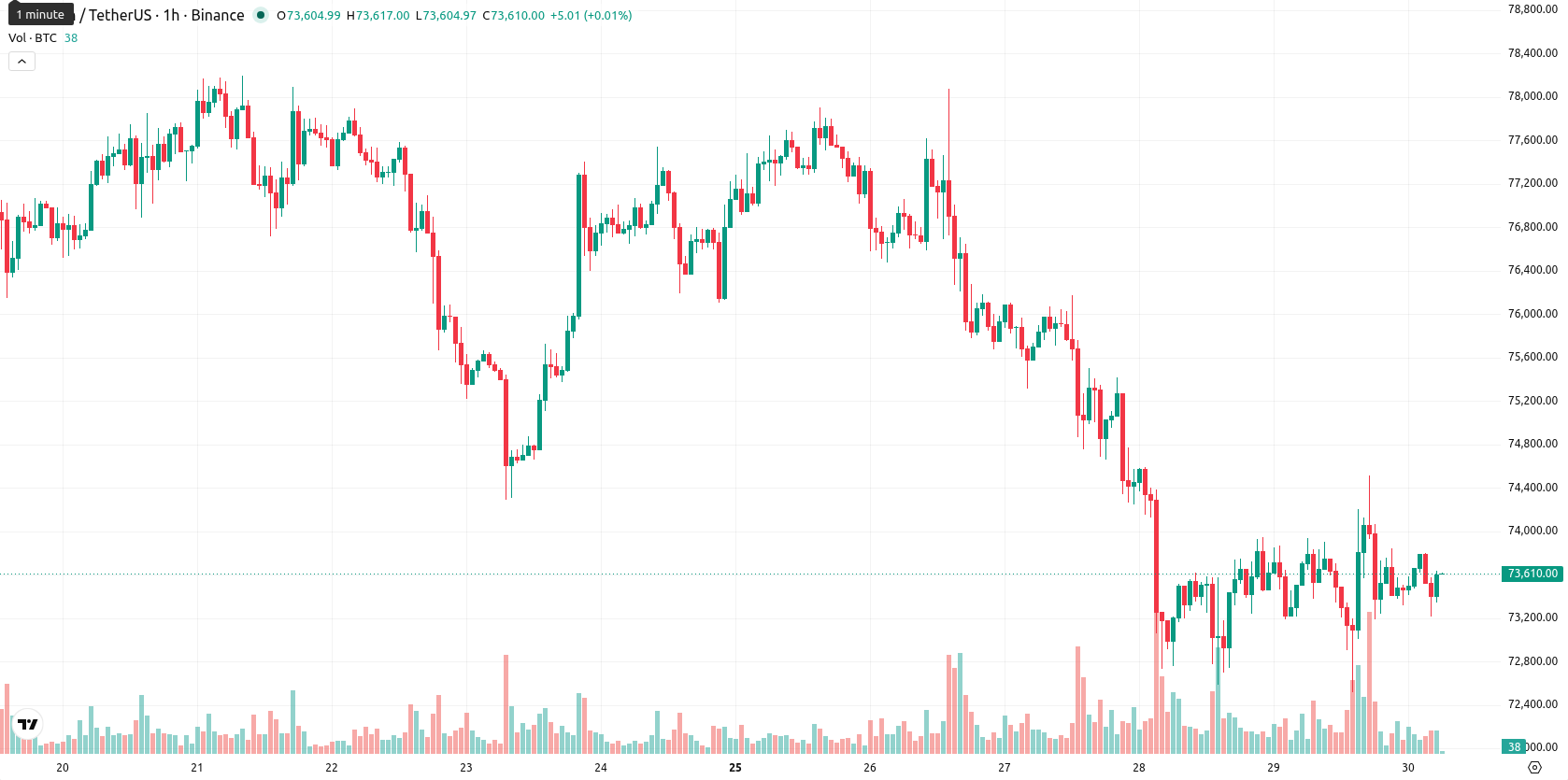 Bitcoin asset chart