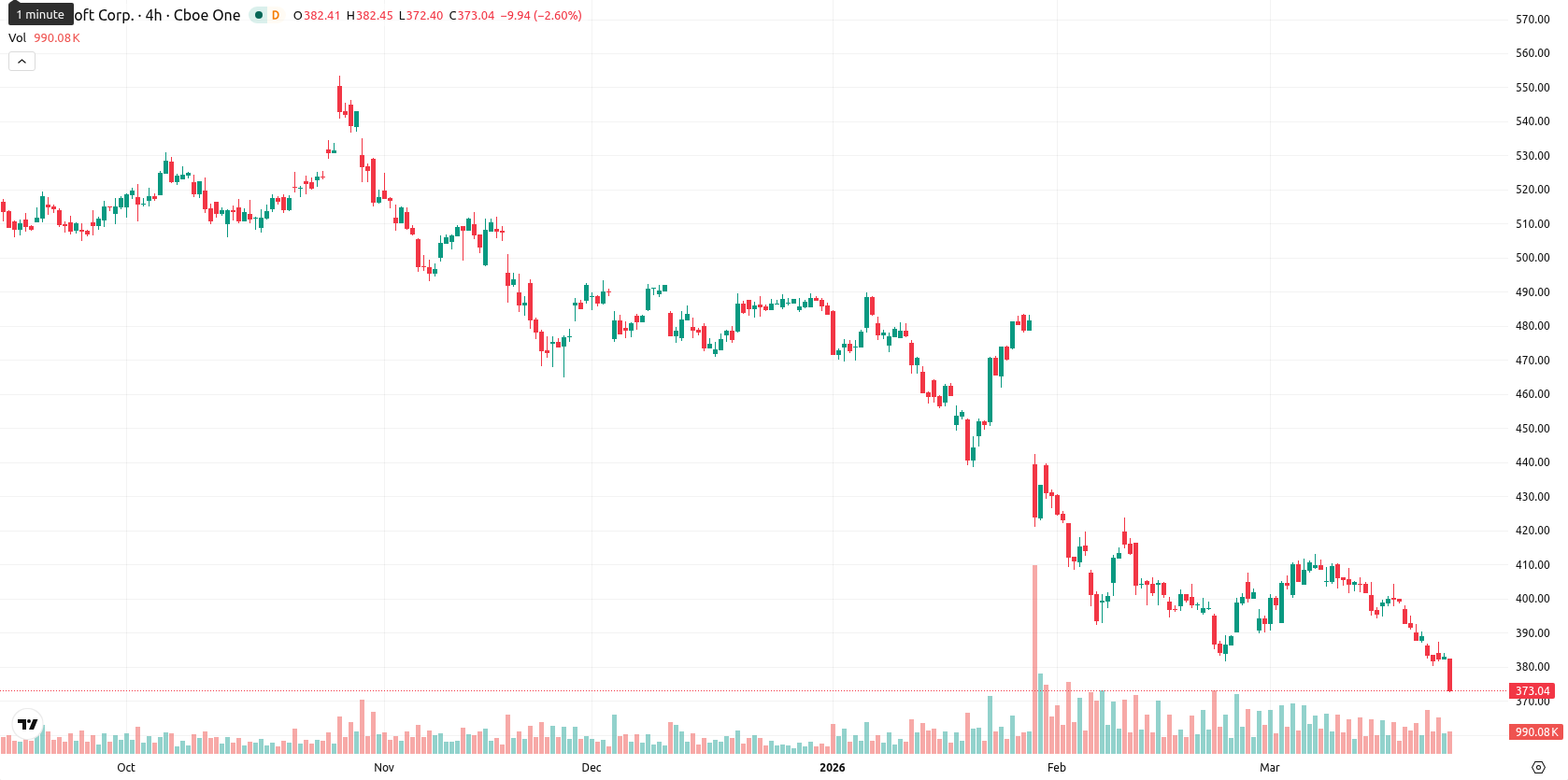 Microsoft Corp asset chart