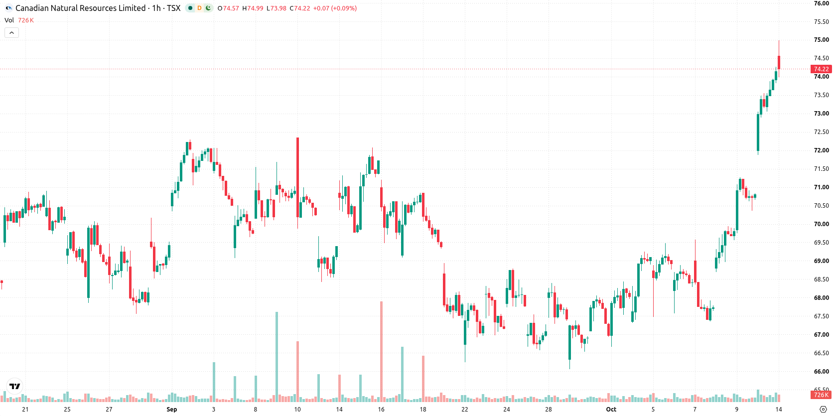 Canadian Natural Resources Limited asset chart