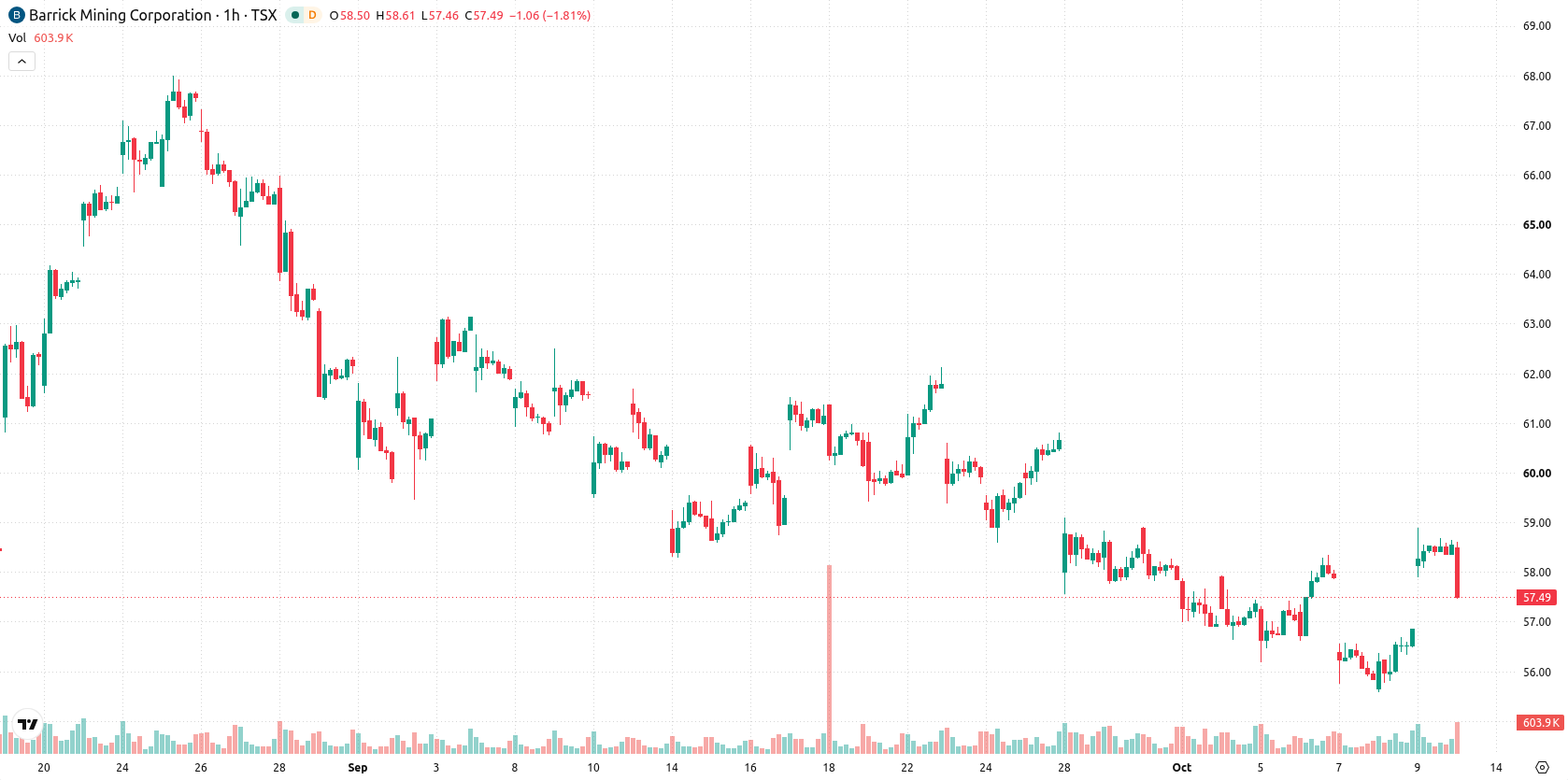 Barrick Gold Corporation asset chart