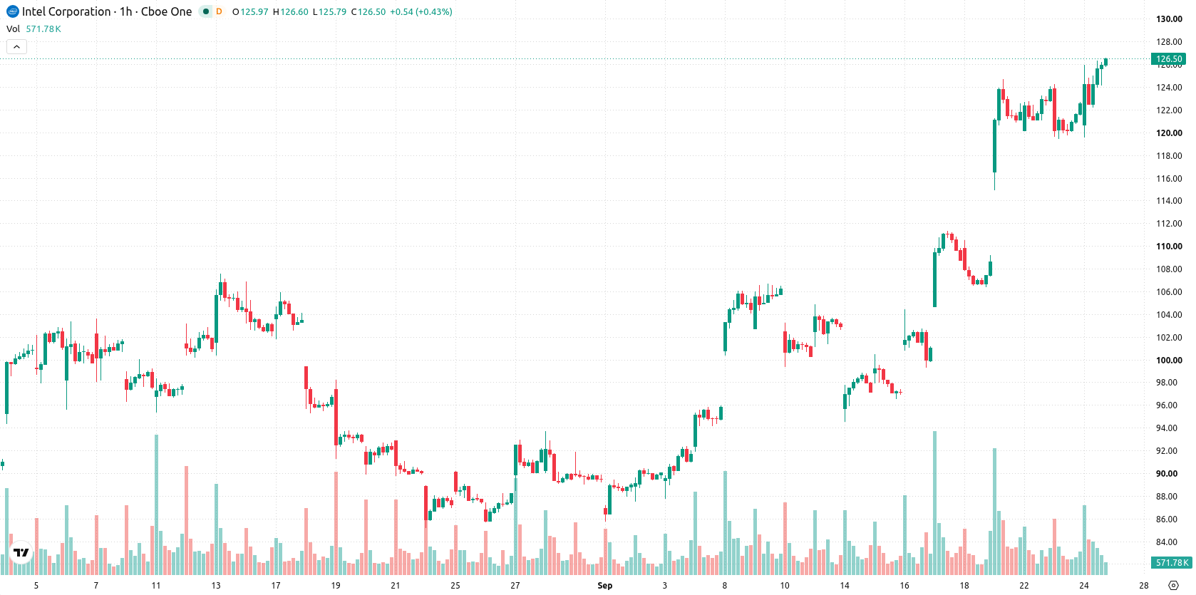 Intel Corporation asset chart