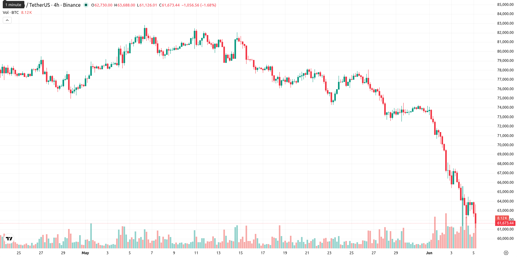 Bitcoin asset chart
