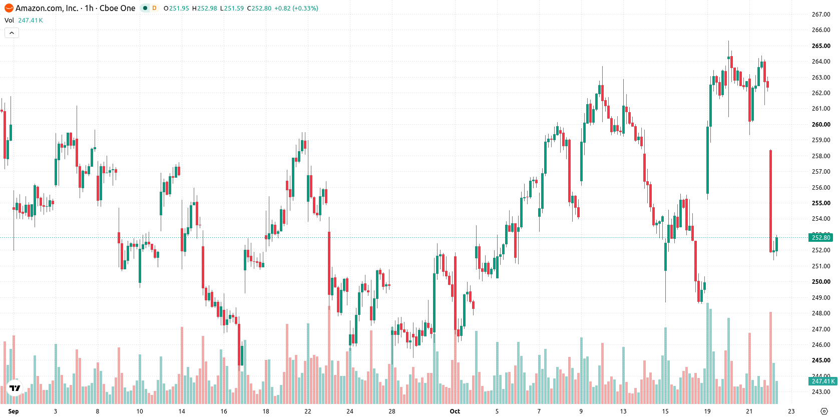 Amazon.com Inc asset chart