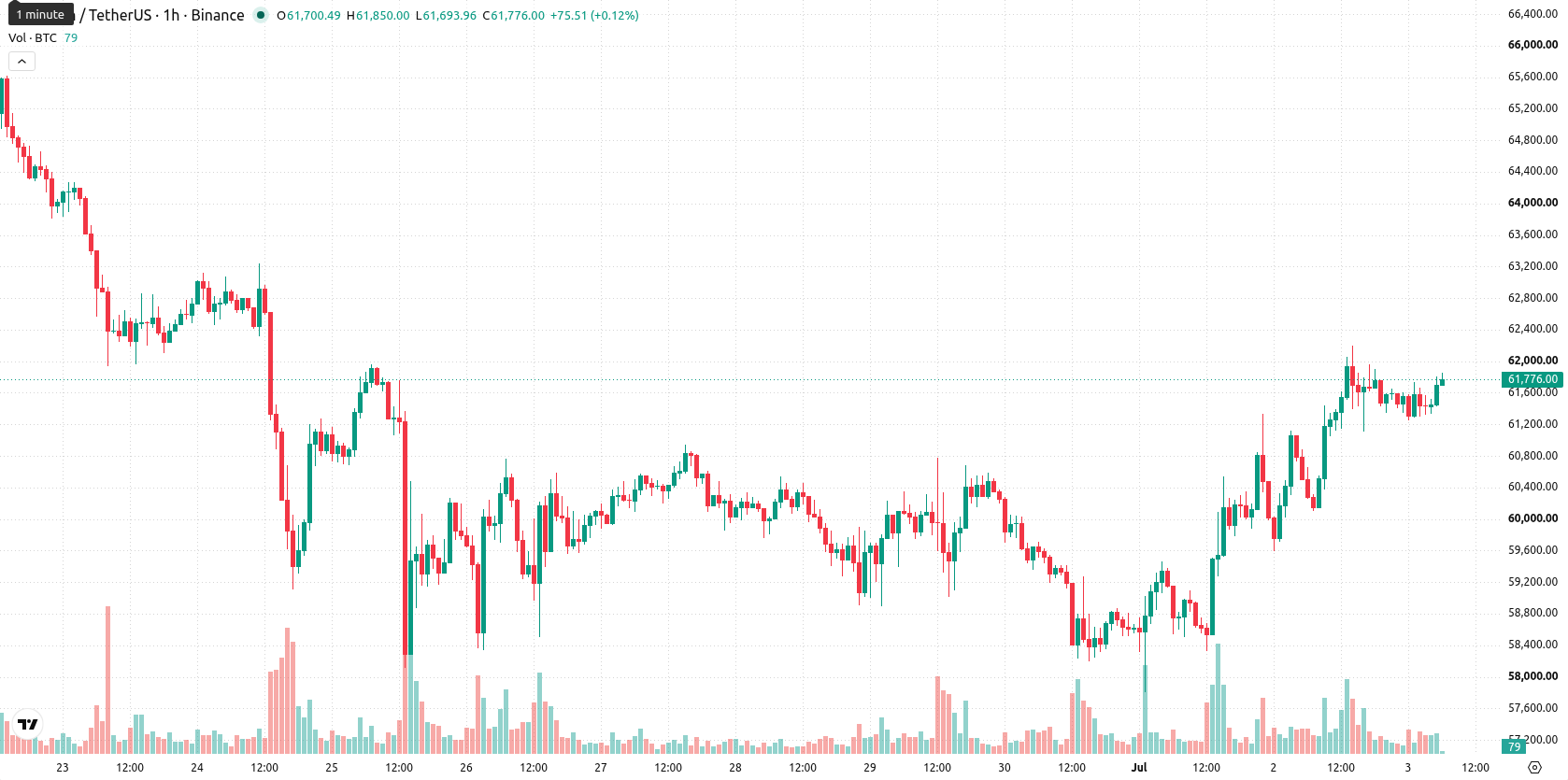 Bitcoin asset chart