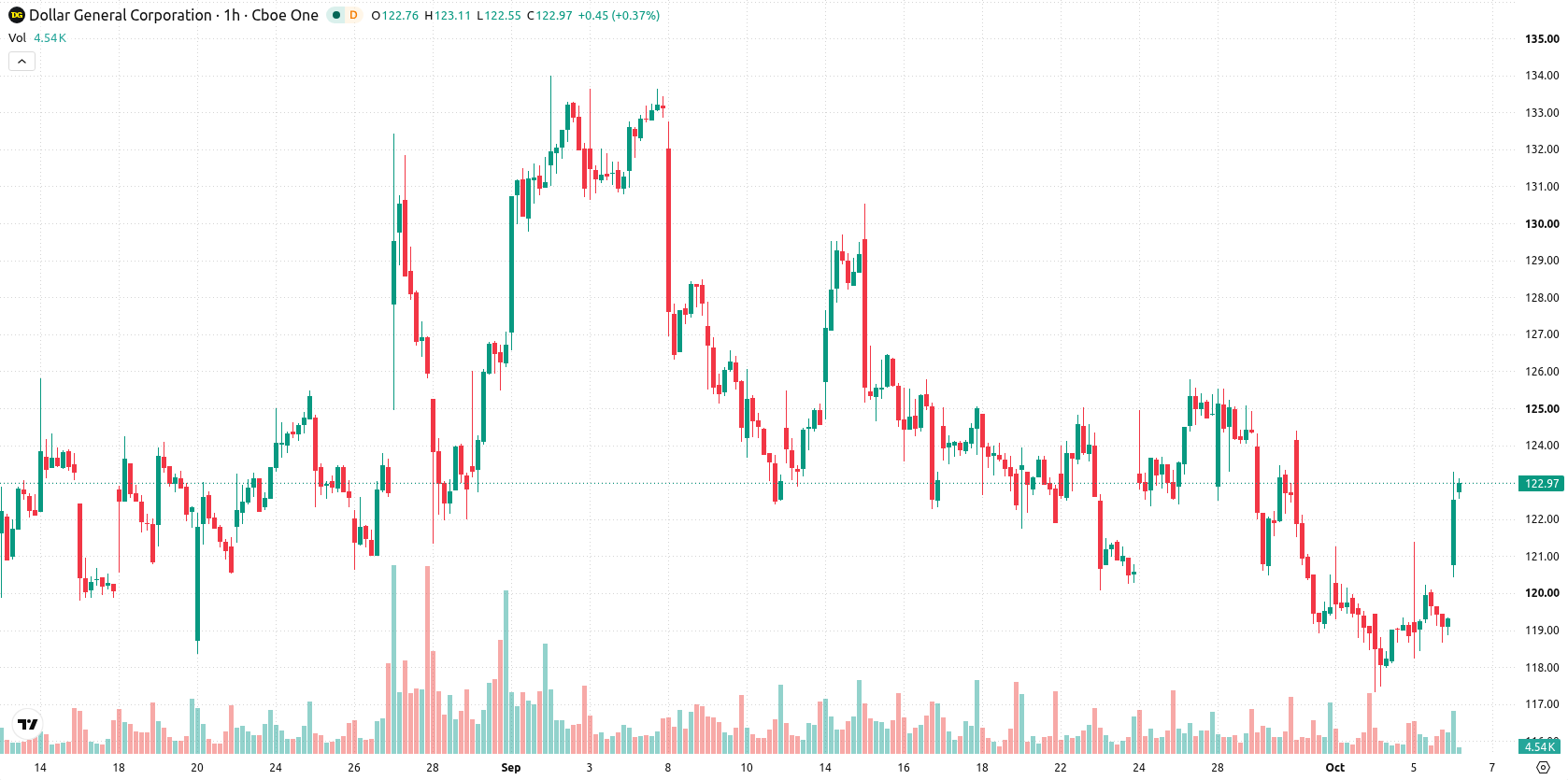 Dollar General asset chart