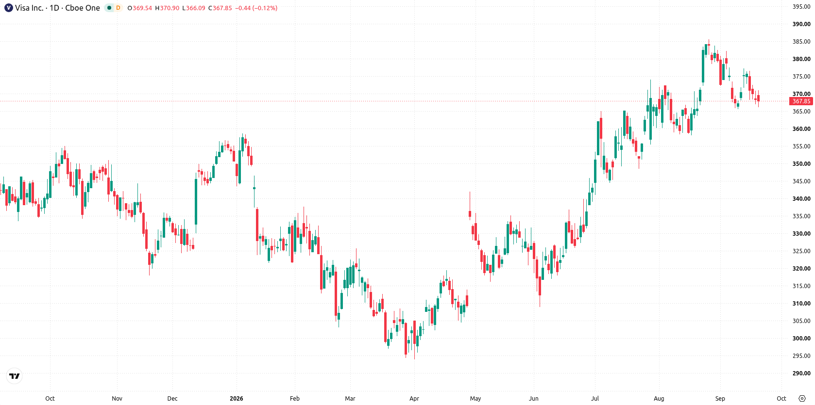 Visa Inc. asset chart