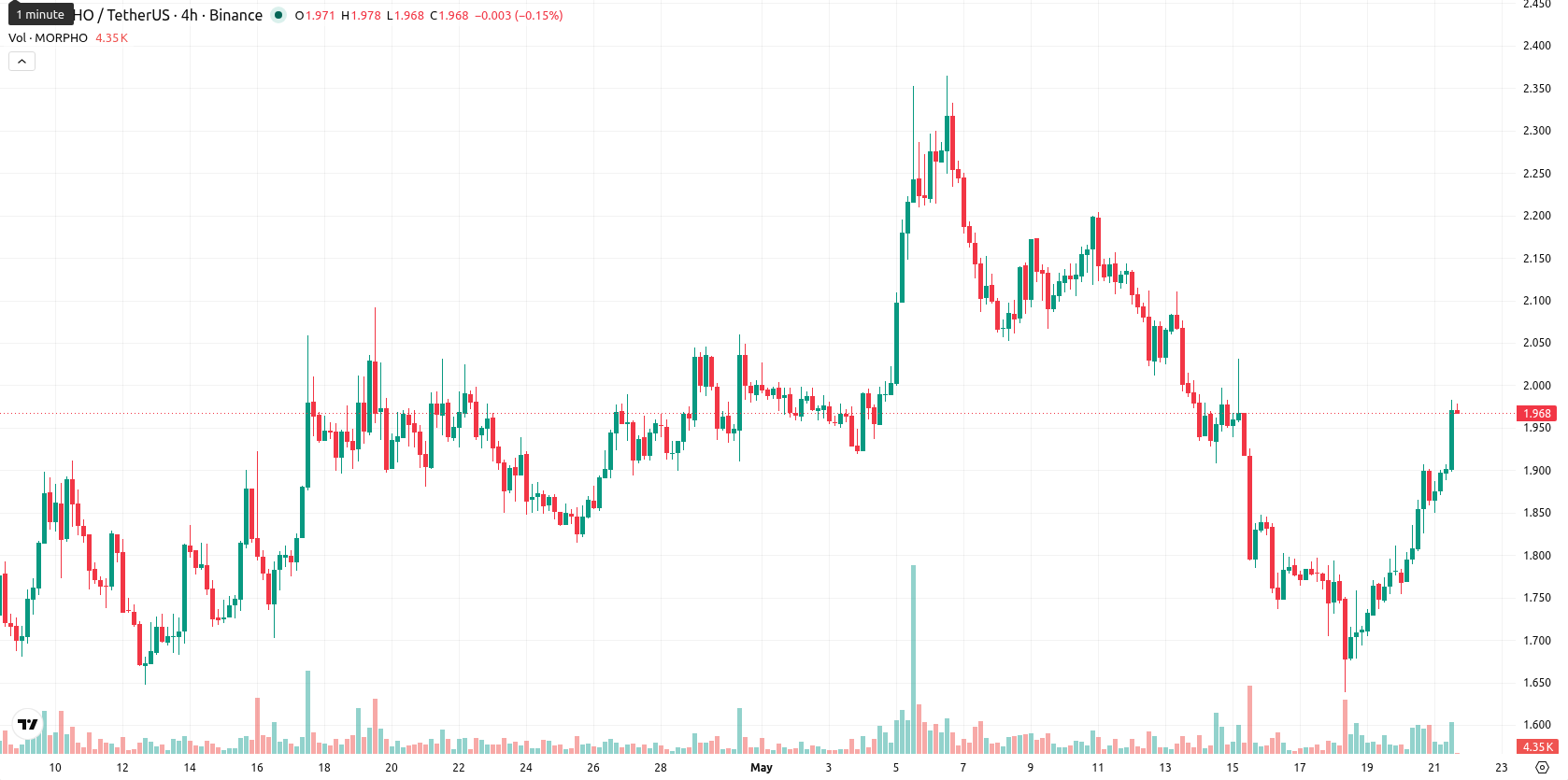 Morpho asset chart