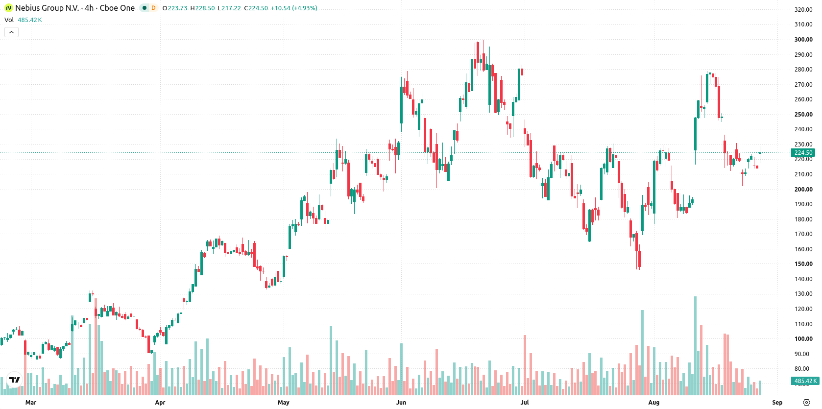 Nebius Group N.V. asset chart