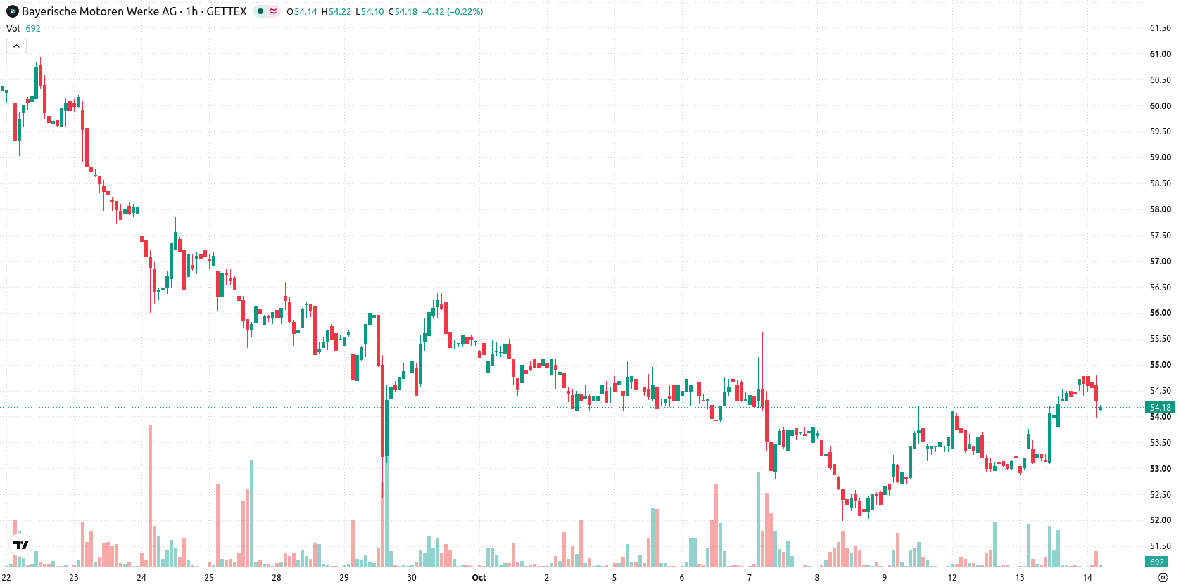 BMW AG asset chart