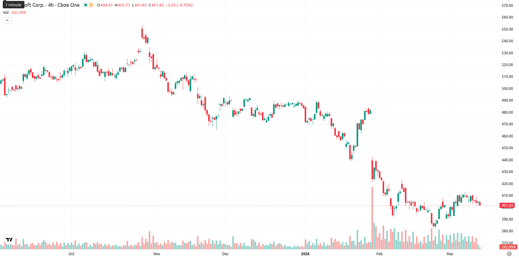 Microsoft Corp asset chart