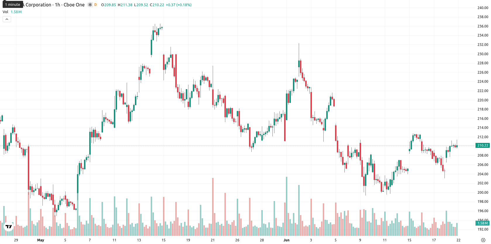 Nvidia Corp asset chart