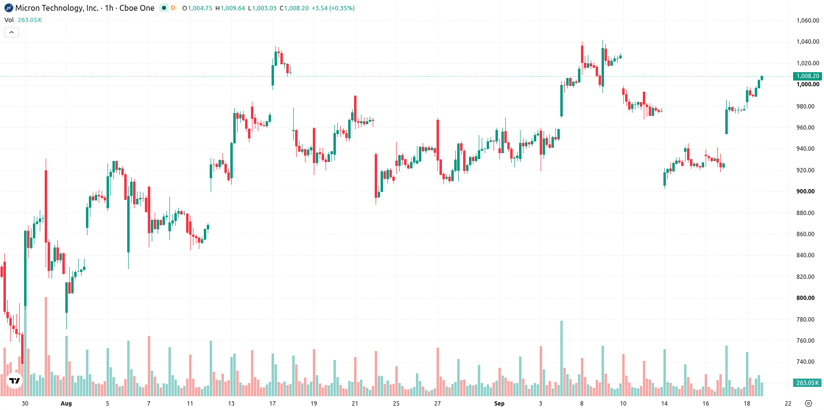 Micron Technology asset chart