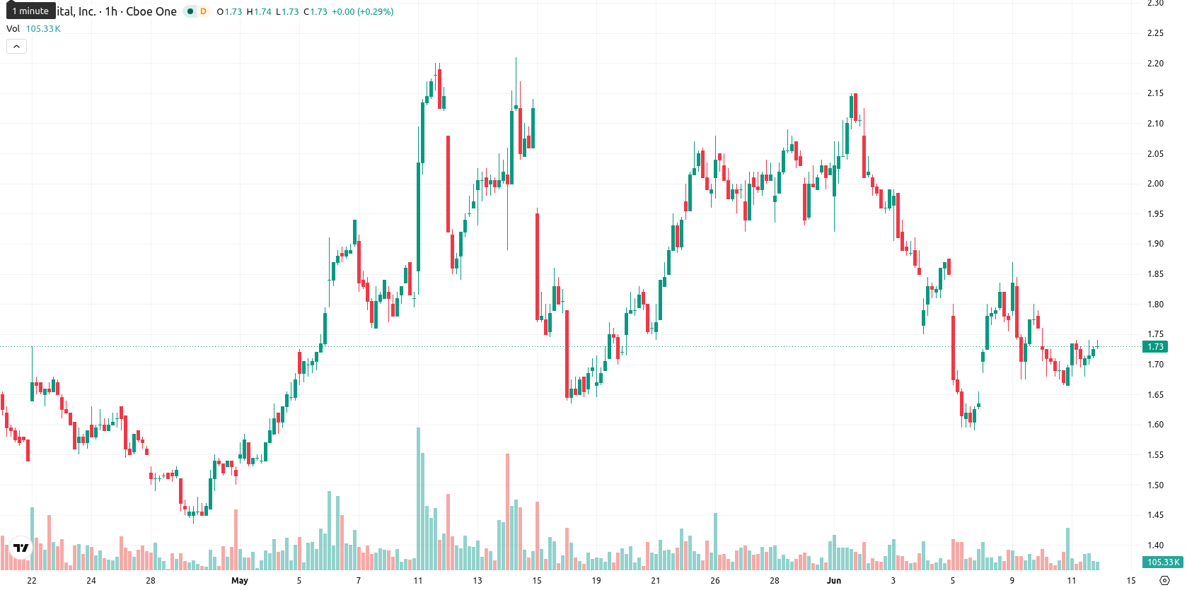 Bit Digital Inc. asset chart