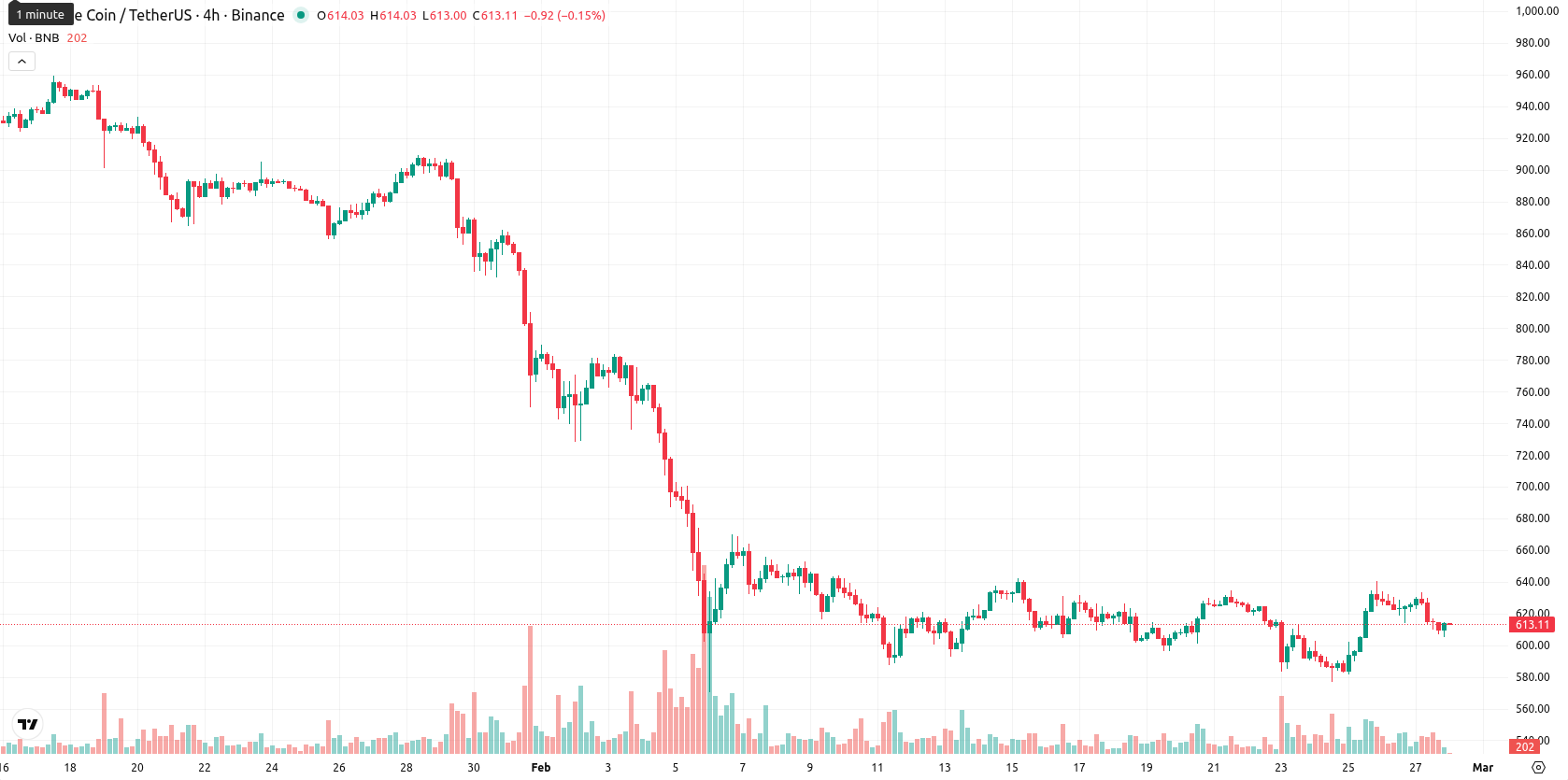 Binance Coin asset chart