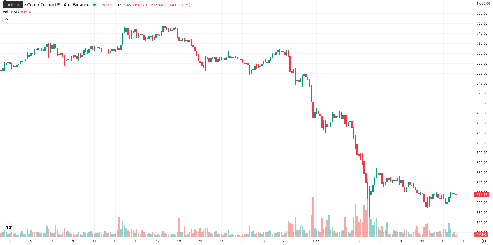 Binance Coin asset chart
