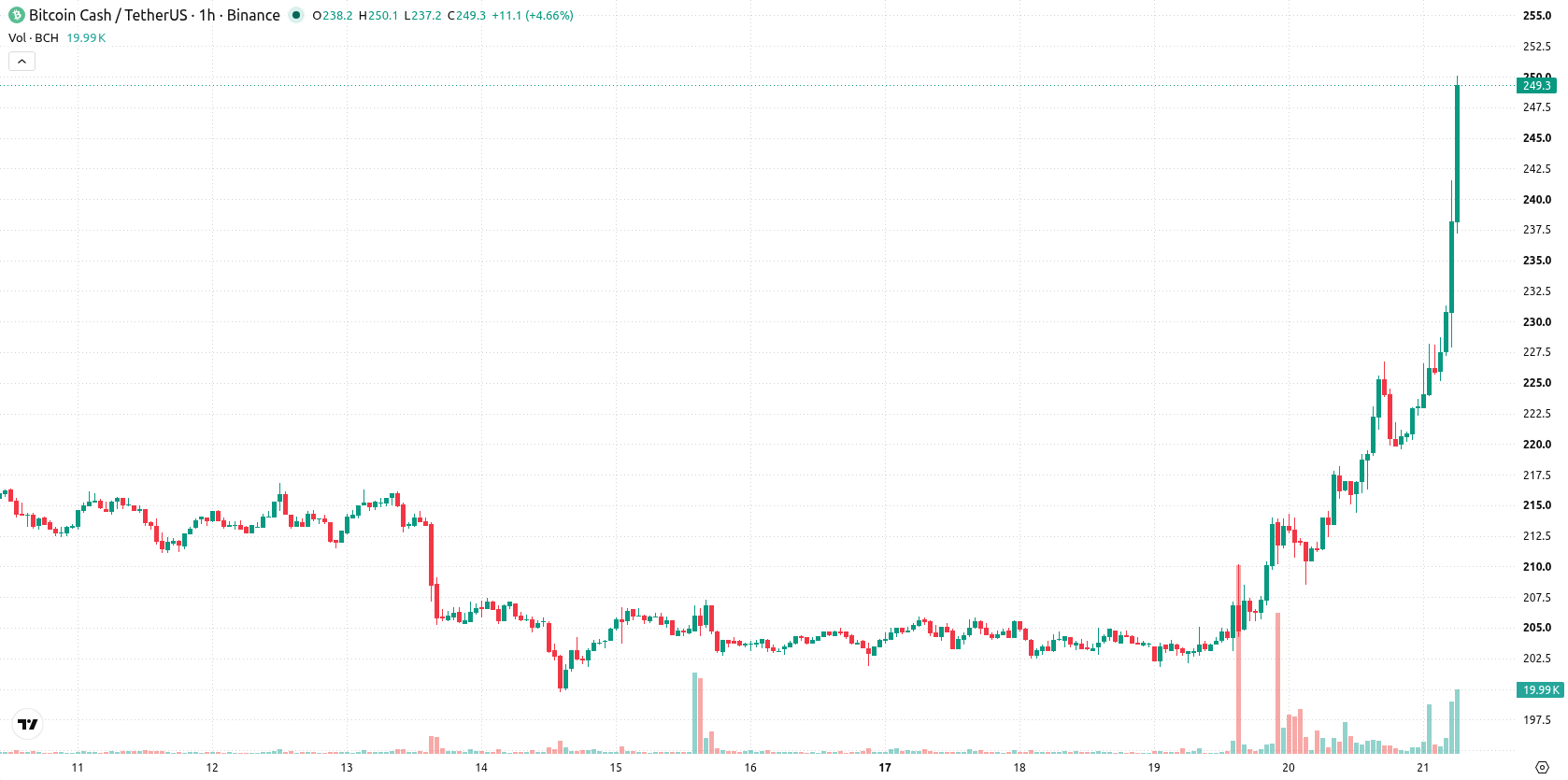 Bitcoin Cash asset chart
