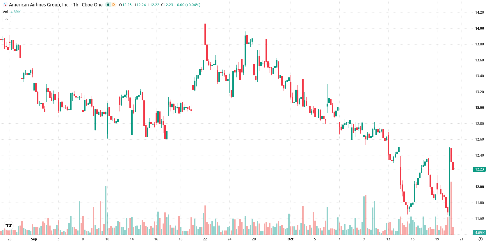 American Airlines Group Inc. asset chart