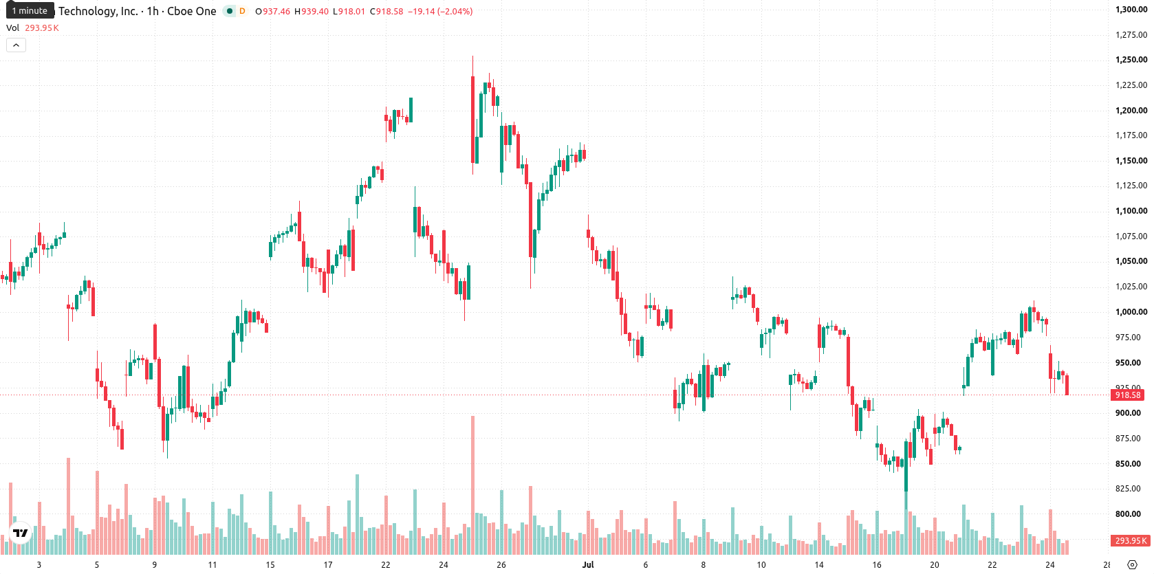 Micron Technology asset chart