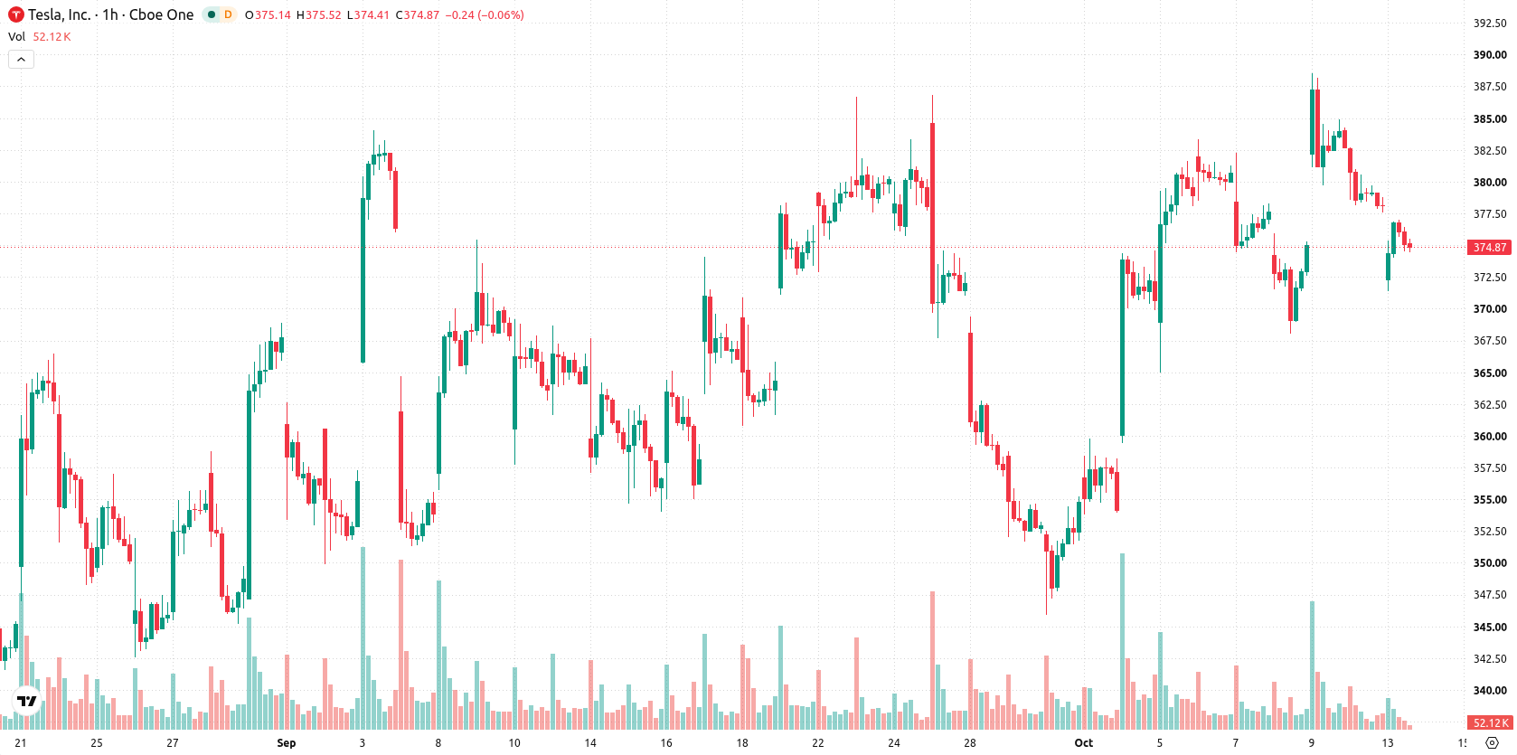 Tesla Inc. asset chart