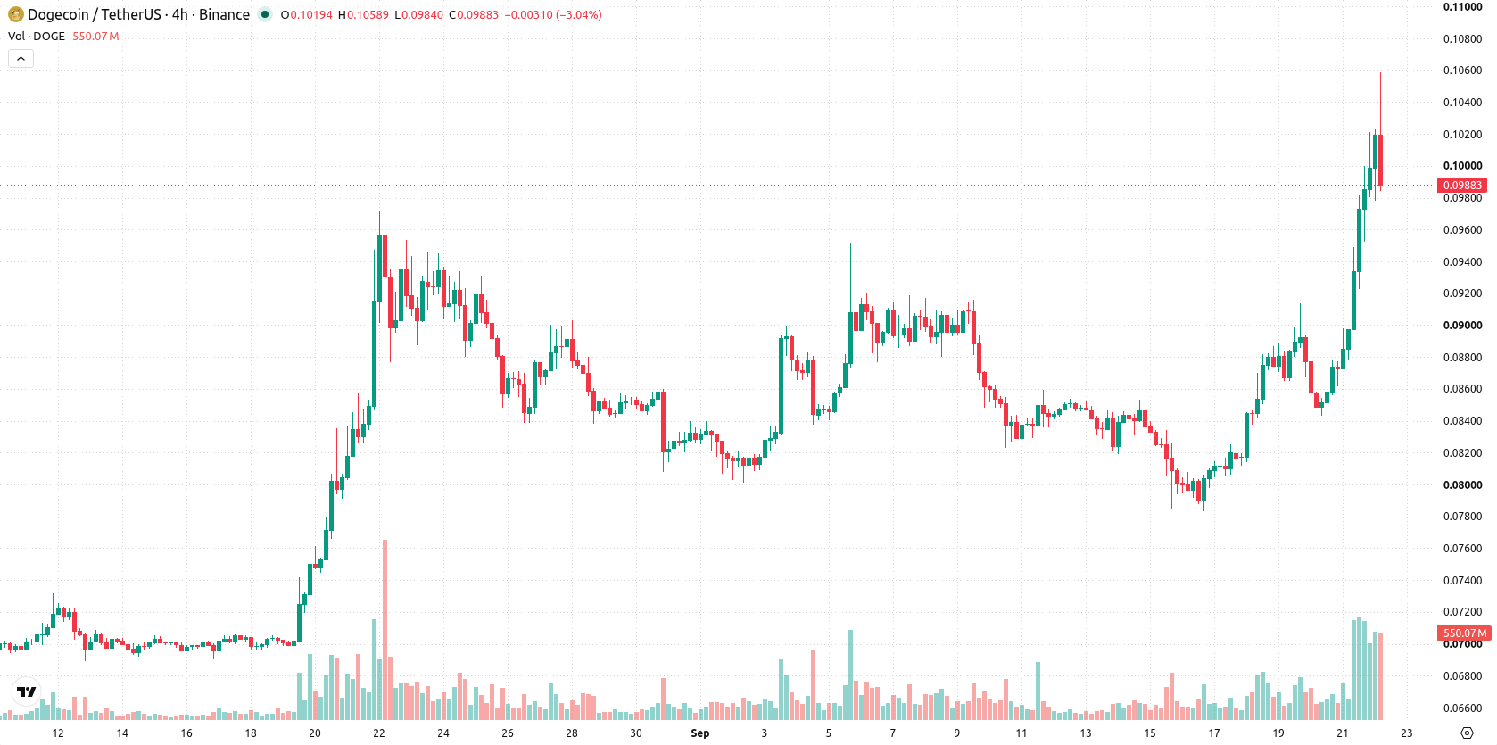 Dogecoin asset chart