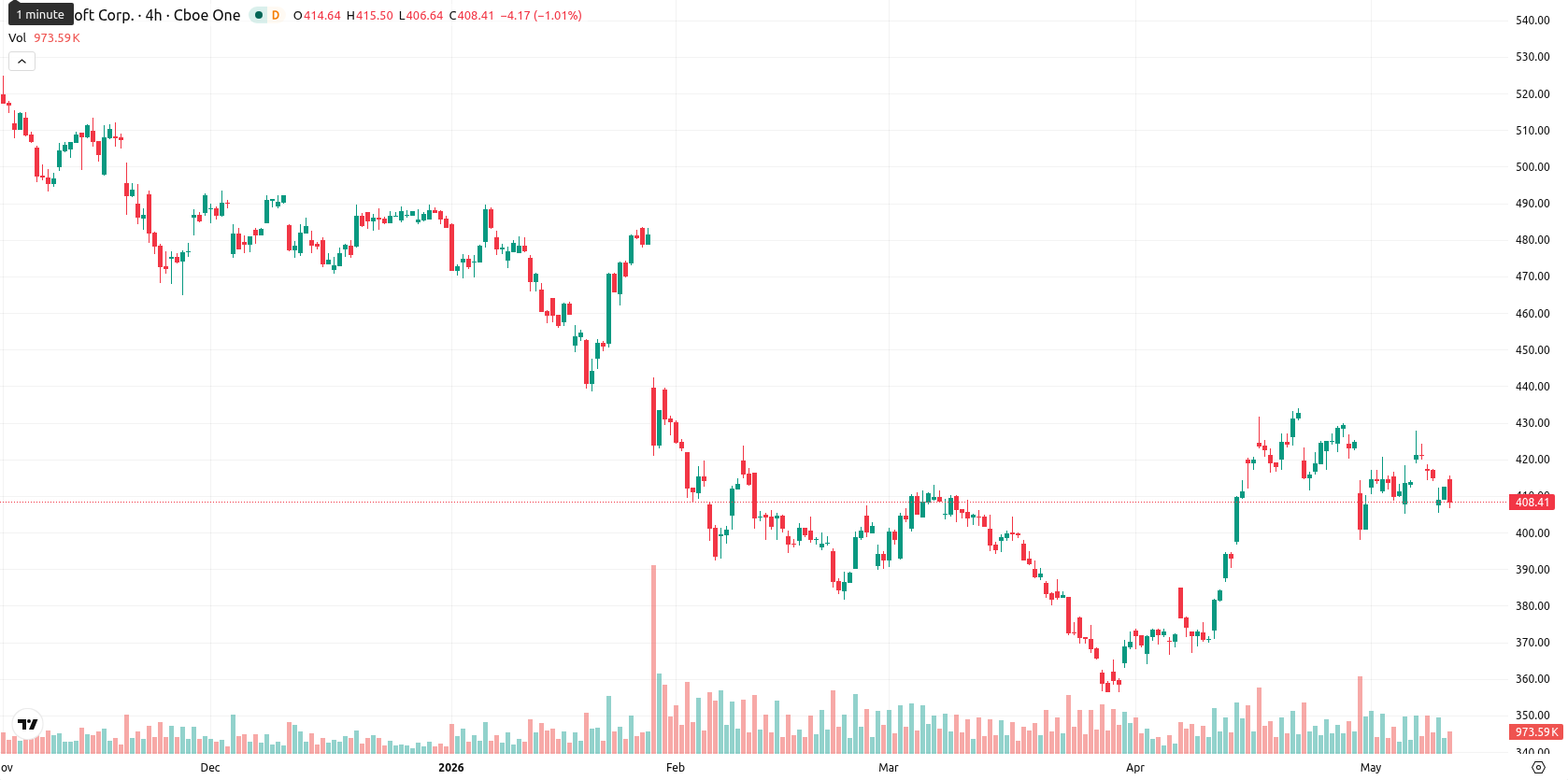 Microsoft Corp asset chart