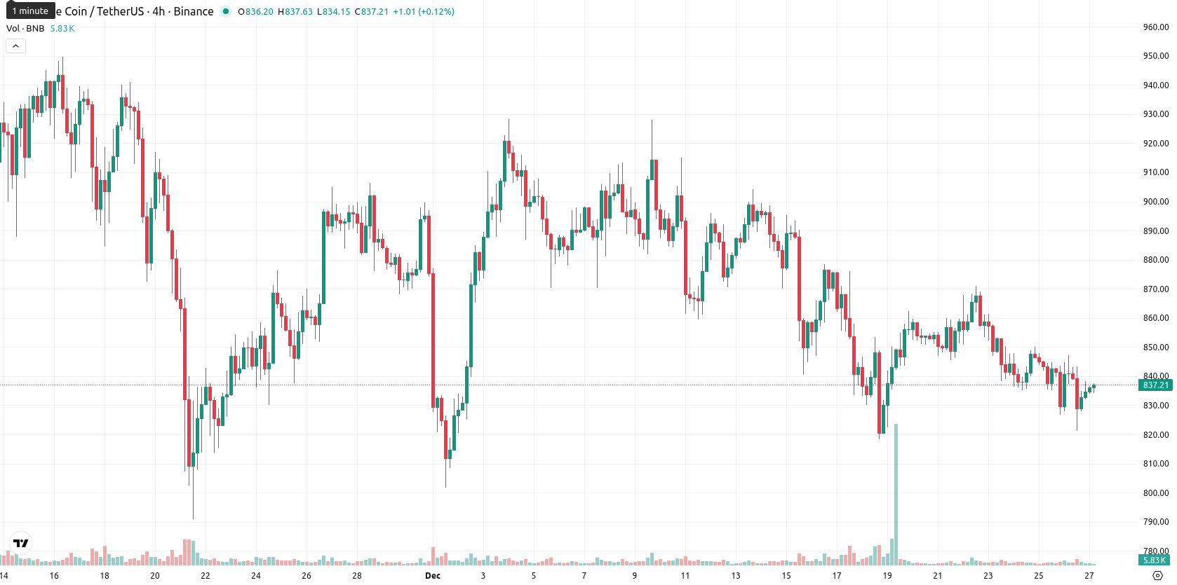 Binance Coin asset chart