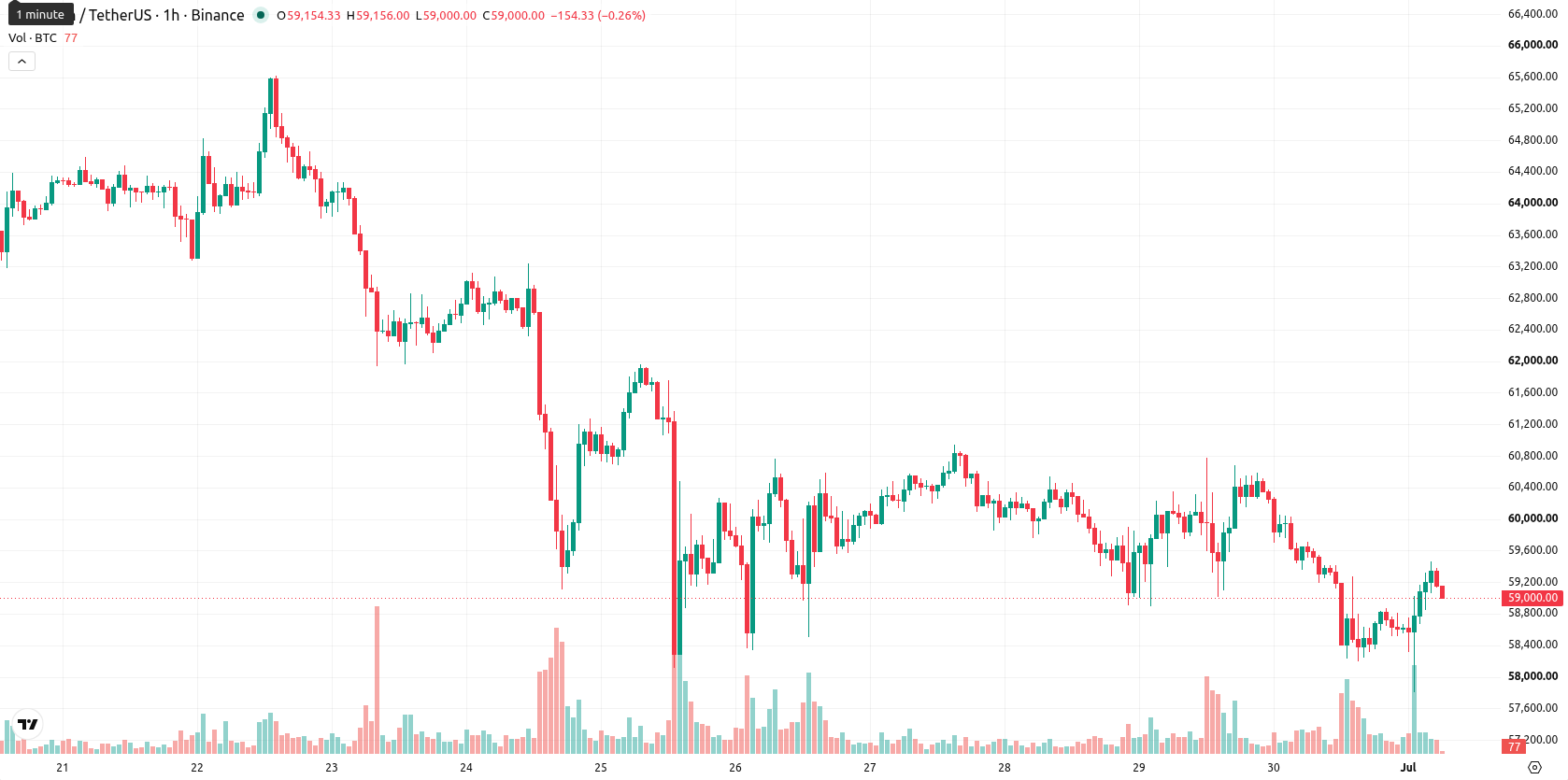 Bitcoin asset chart