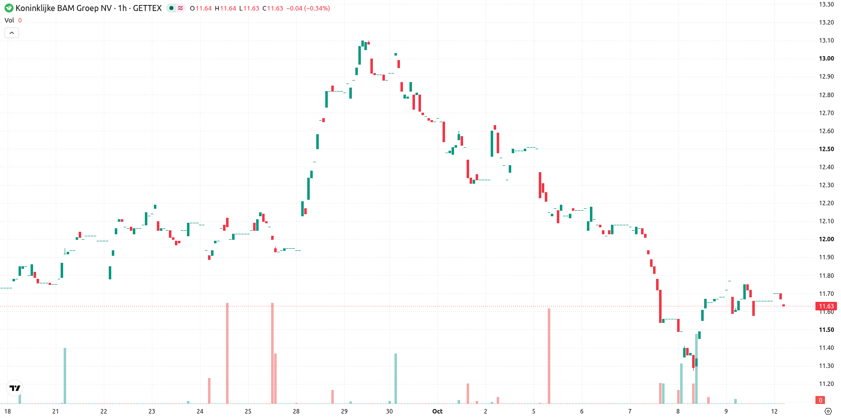 BAM Group N.V. asset chart