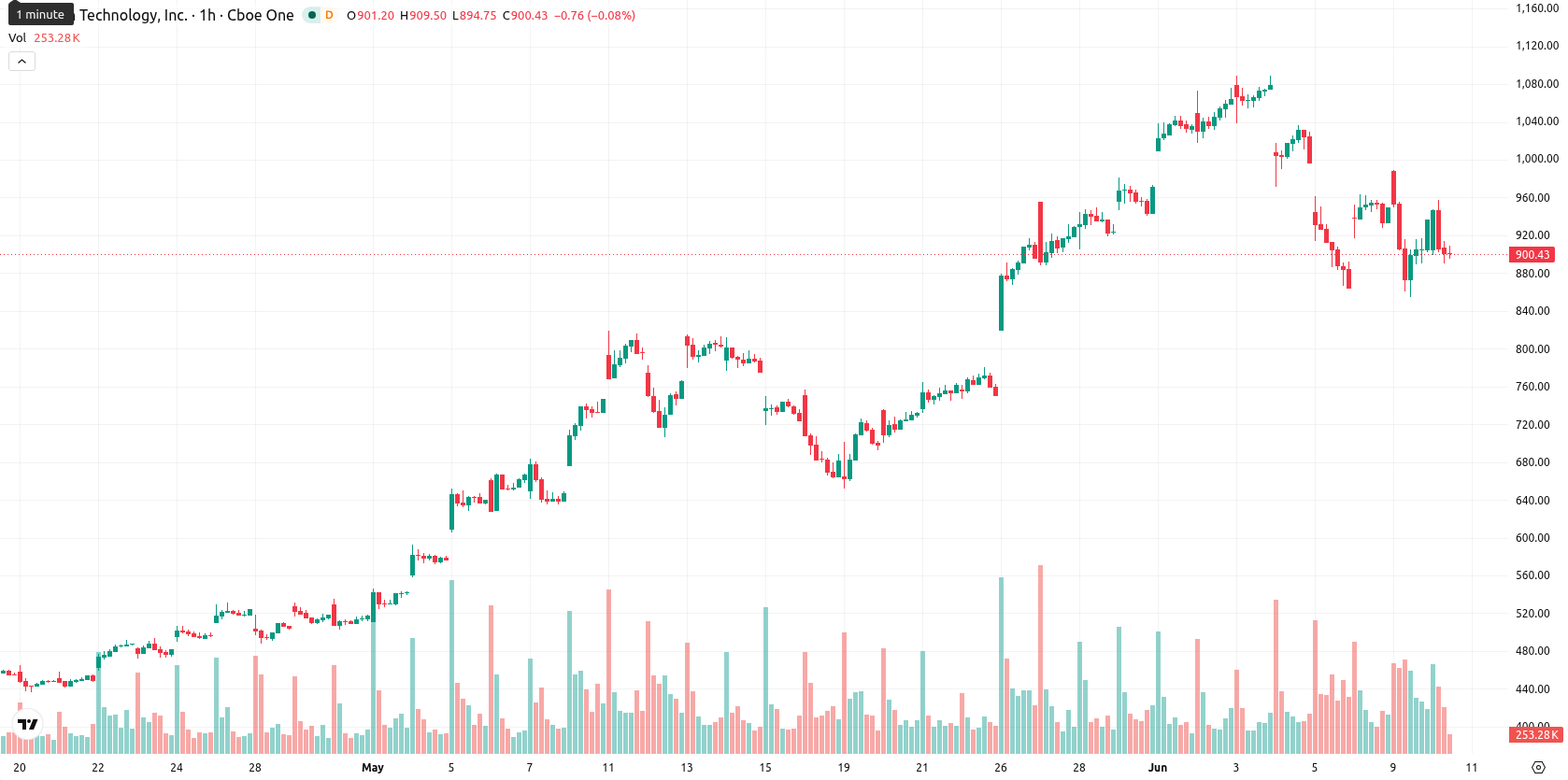 Micron Technology asset chart