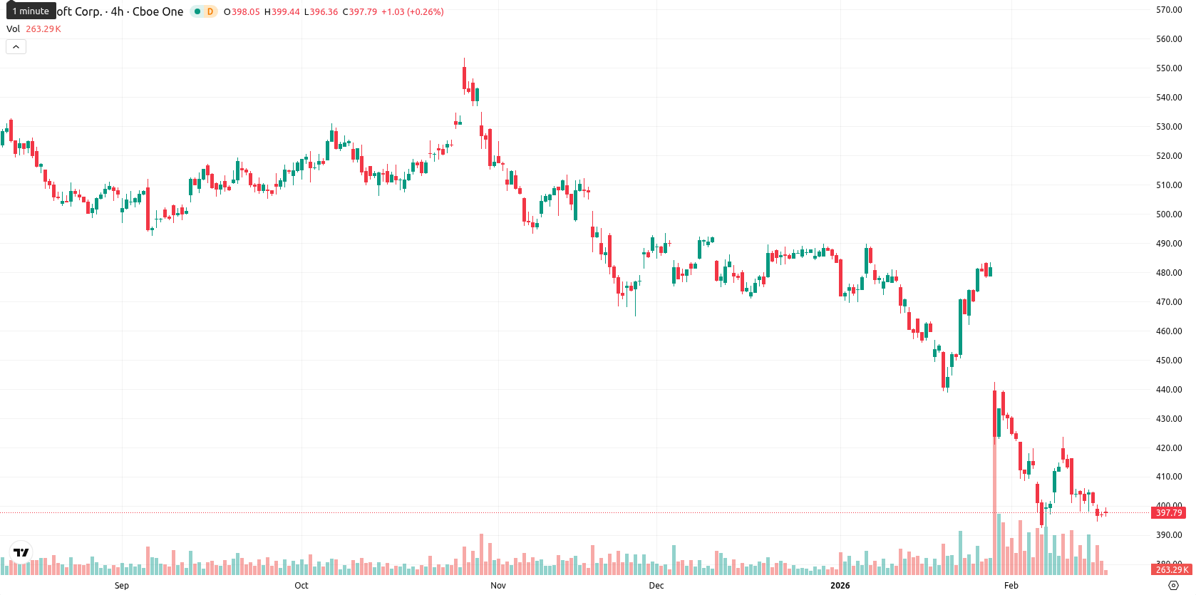 Microsoft Corp asset chart