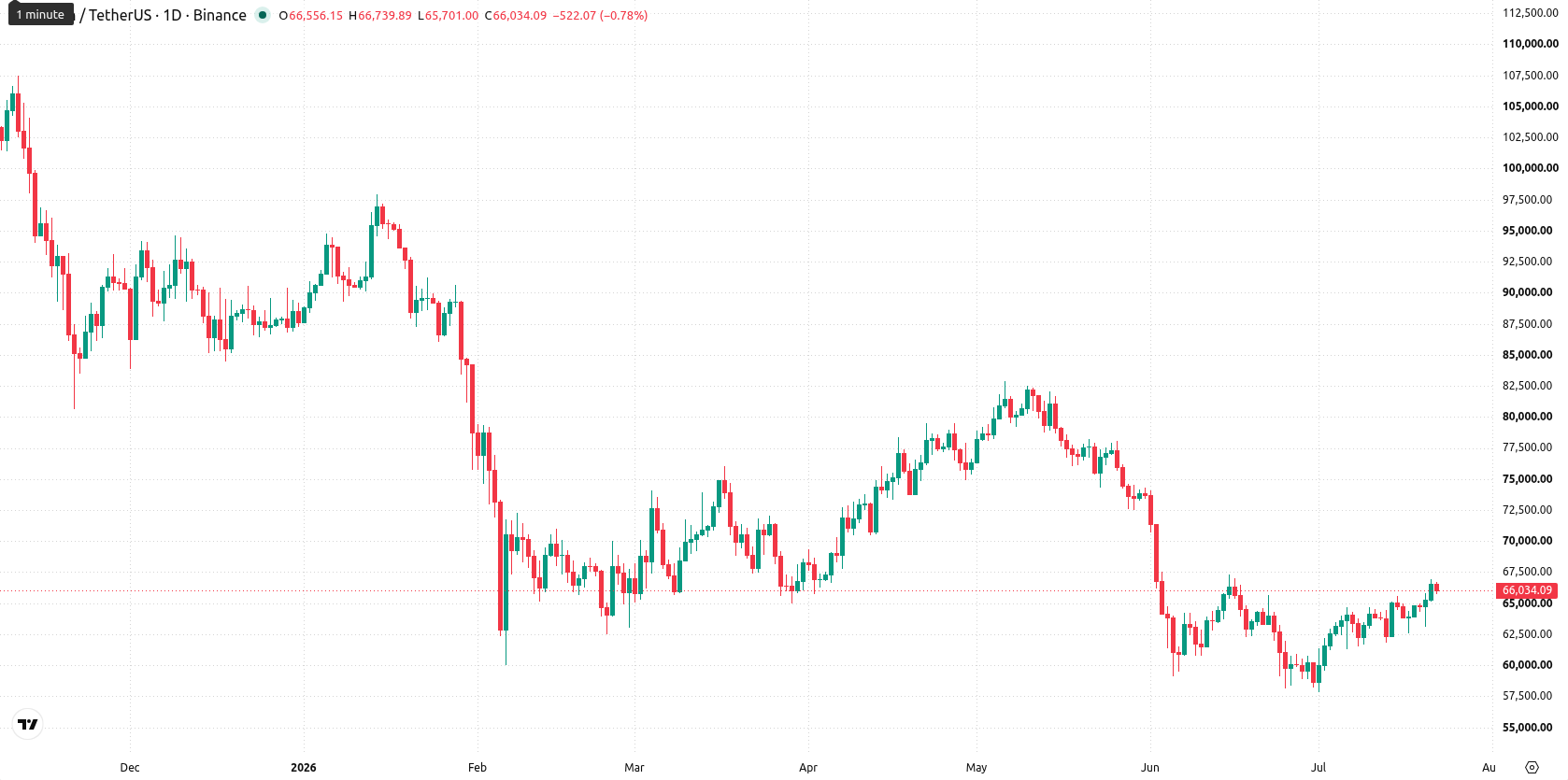 Bitcoin asset chart