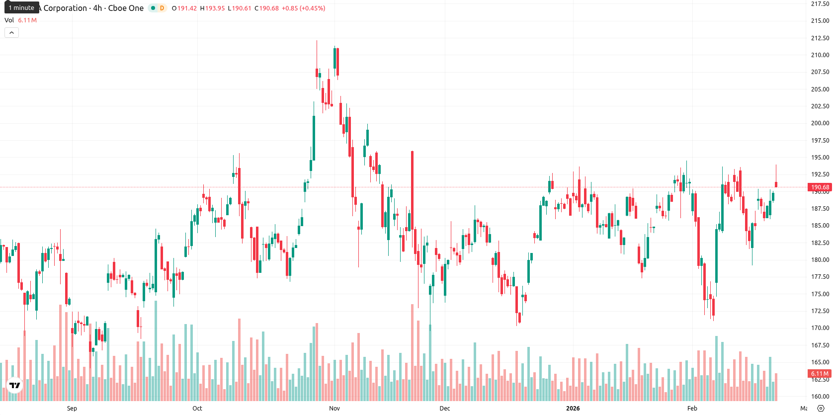 Nvidia Corp asset chart