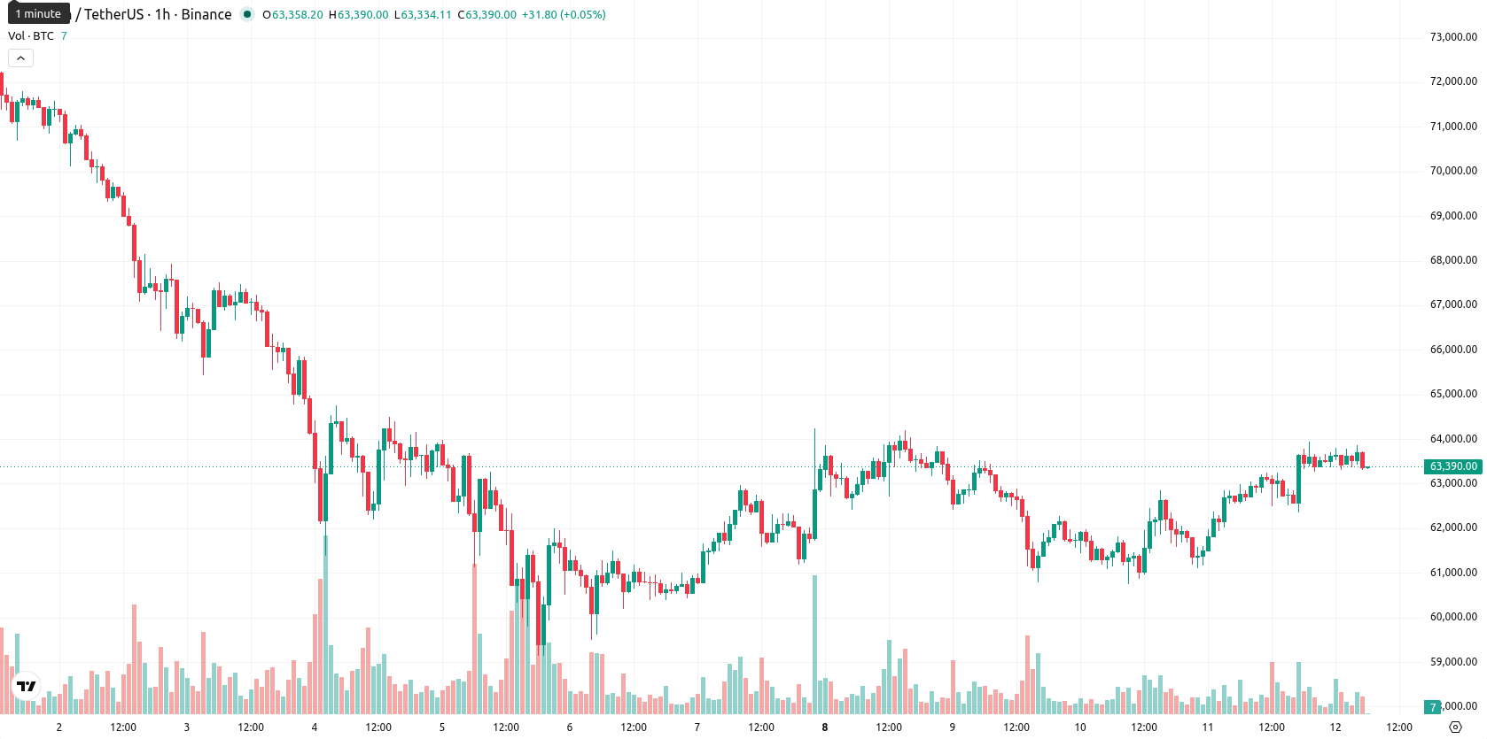 Bitcoin asset chart