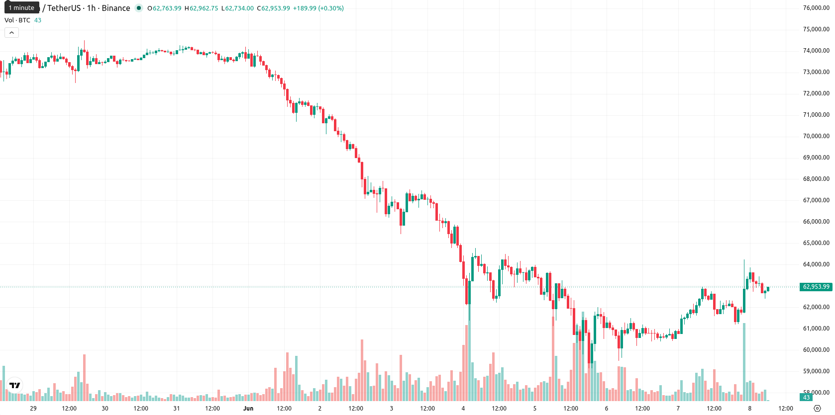 Bitcoin asset chart